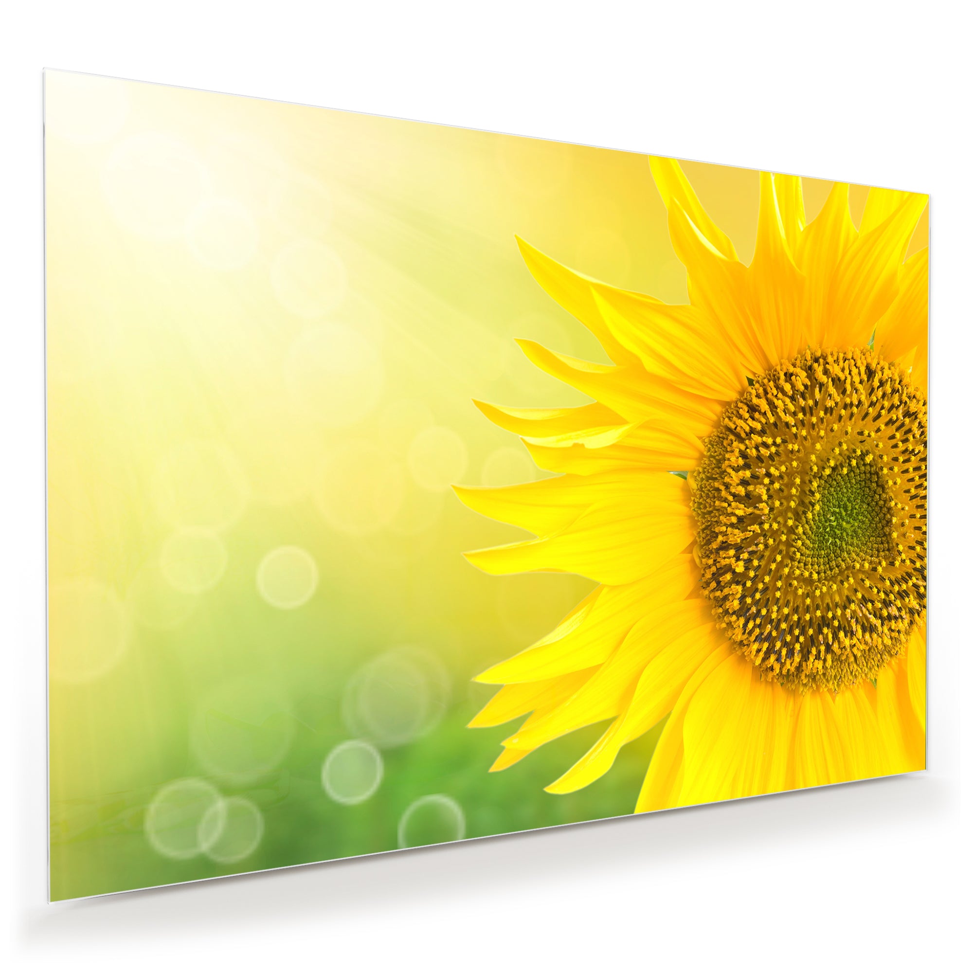 Wandbild - Sonnenblume im Lichtg