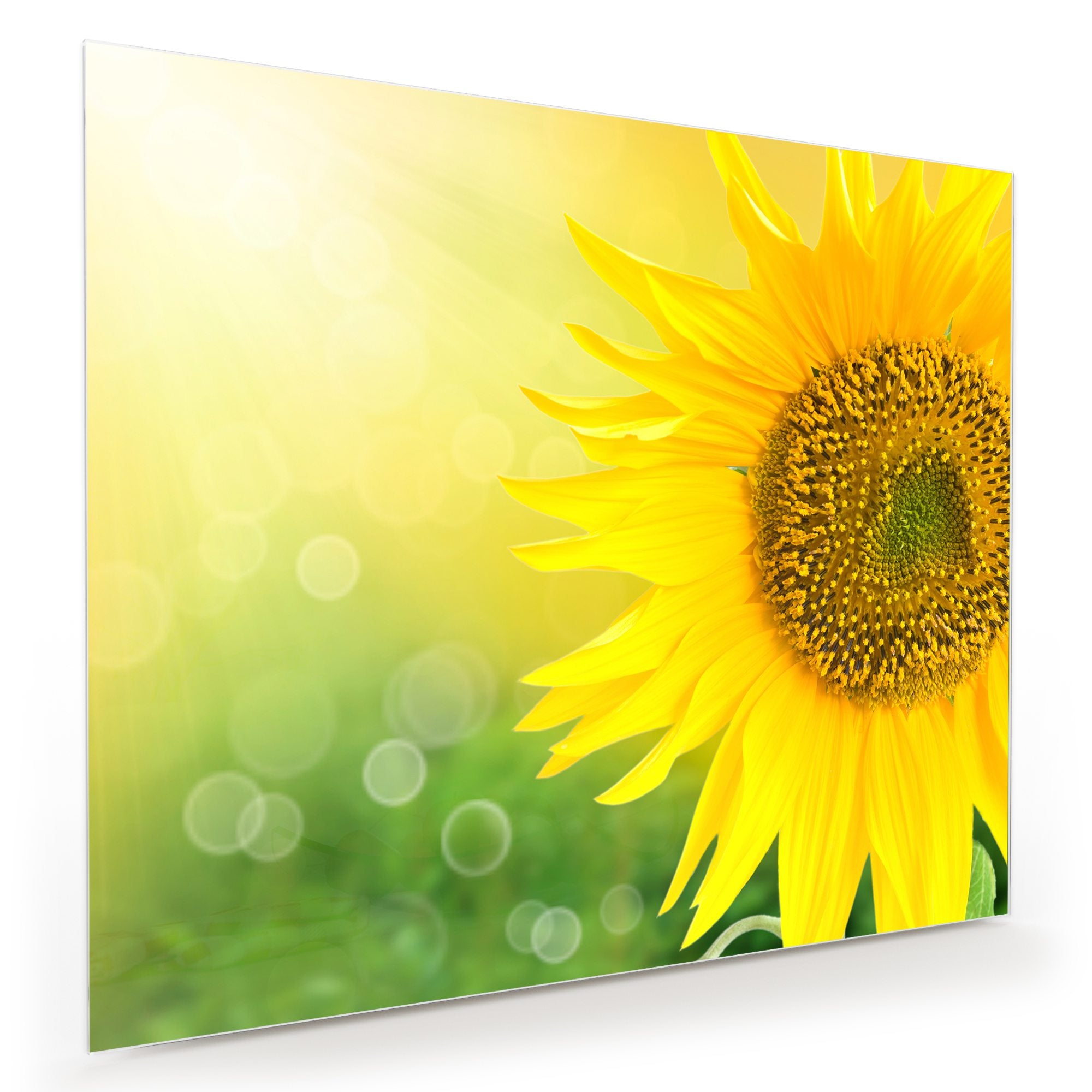 Wandbild - Sonnenblume im Lichtg
