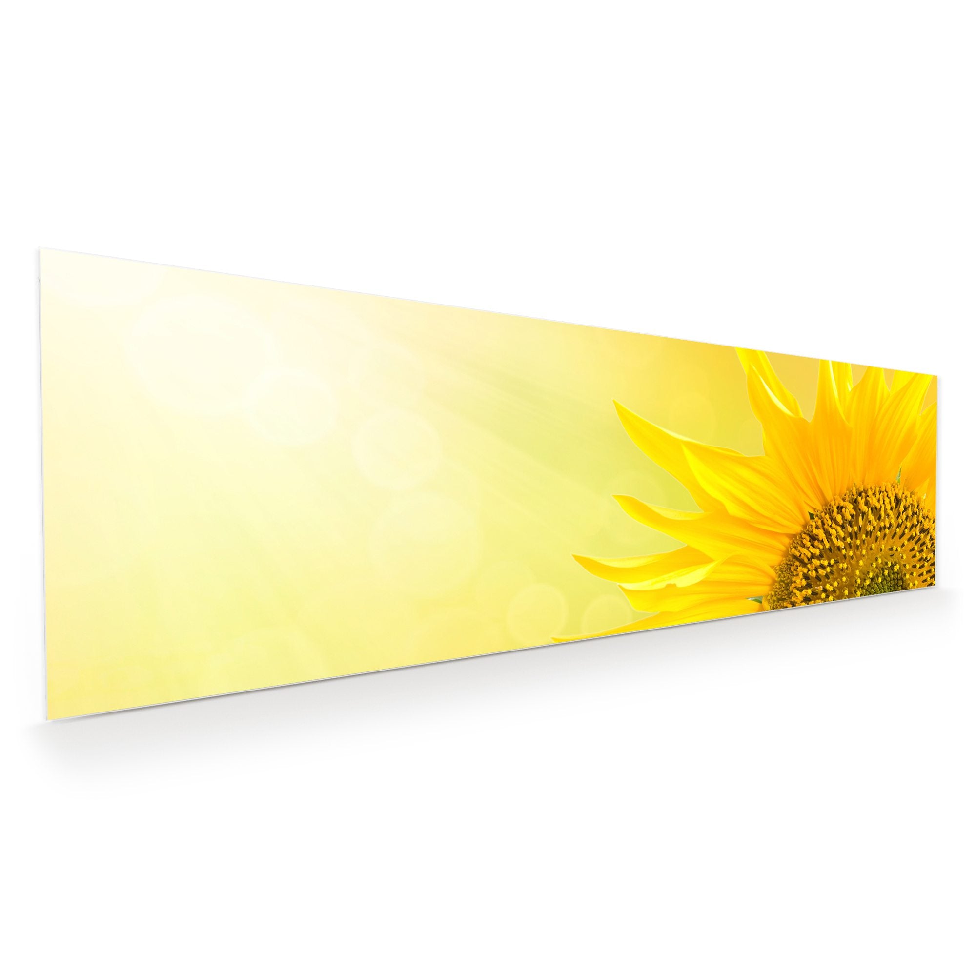 Wandbild - Sonnenblume im Lichtg