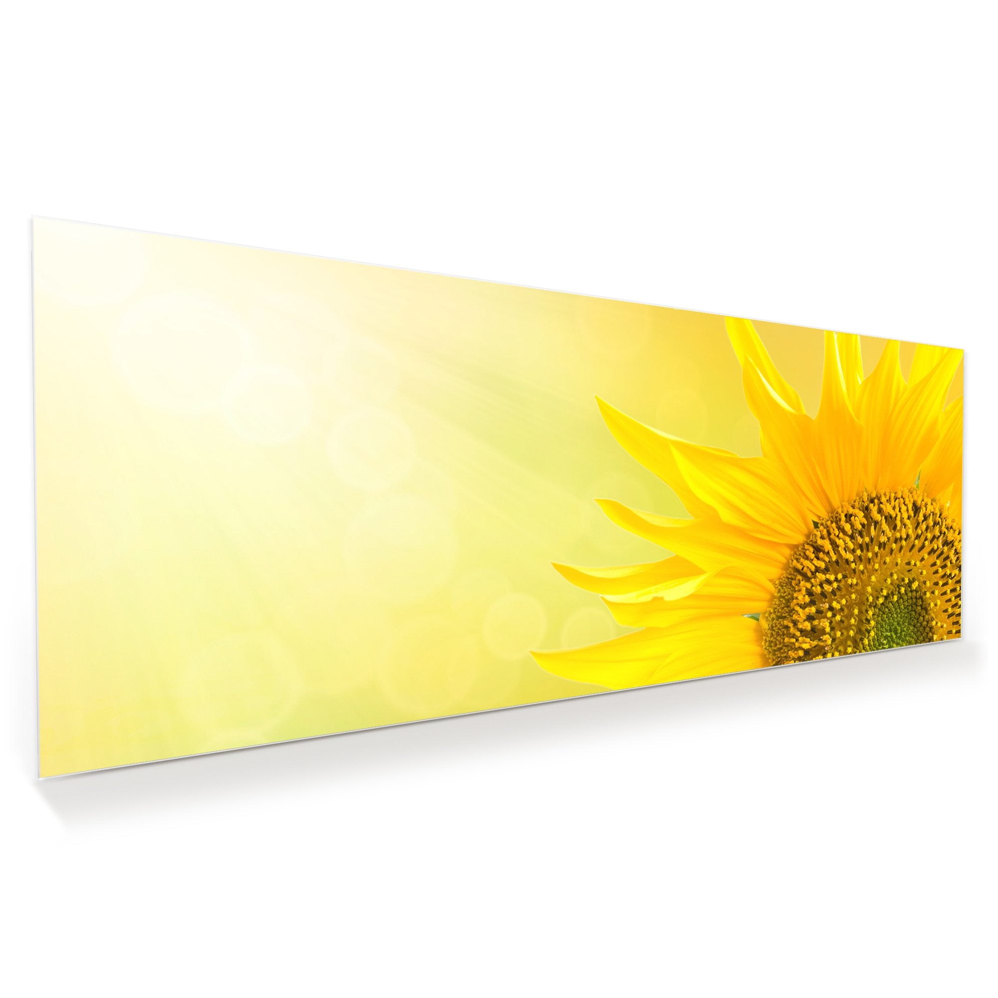 Wandbild - Sonnenblume im Lichtg