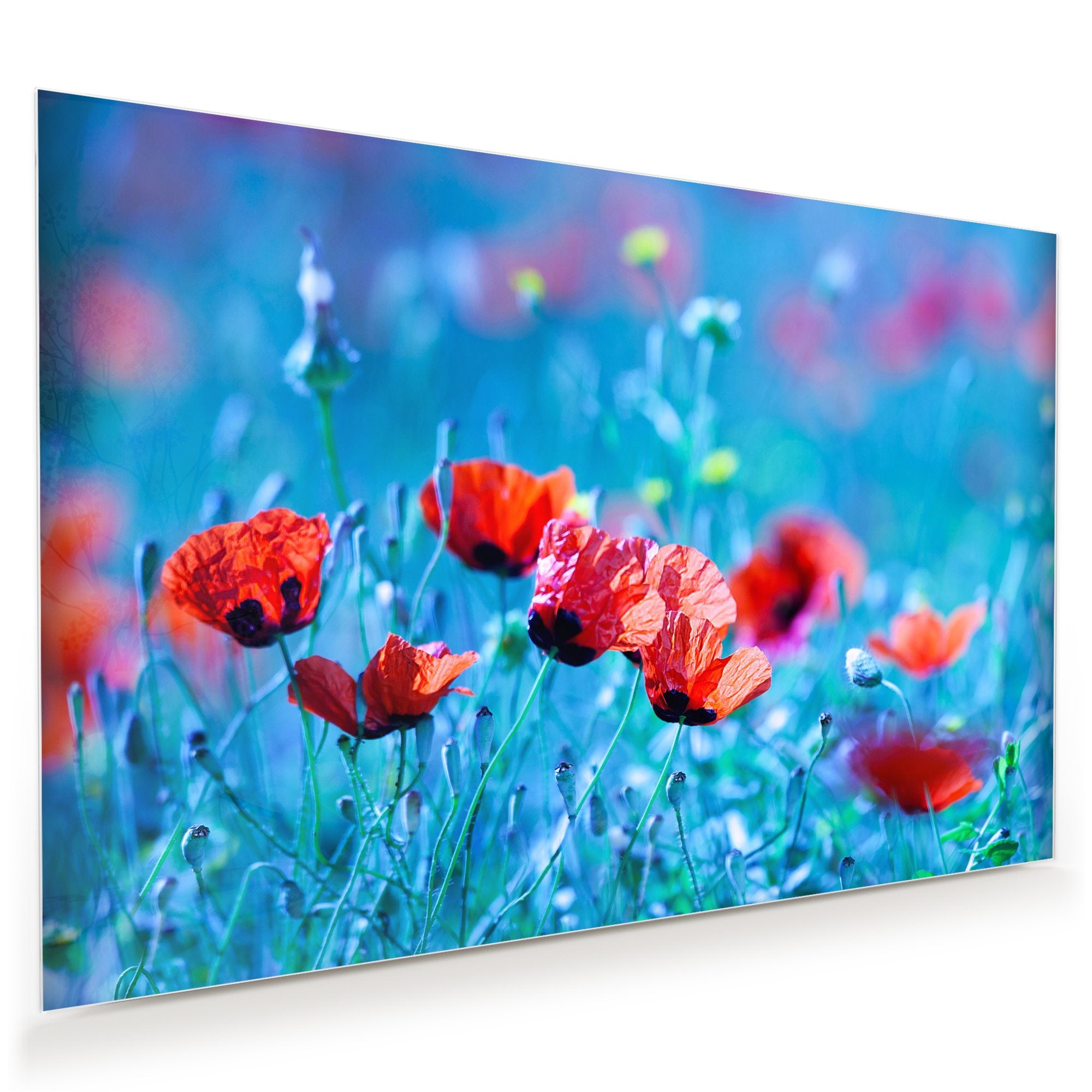 Wandbild - Blumenwiese