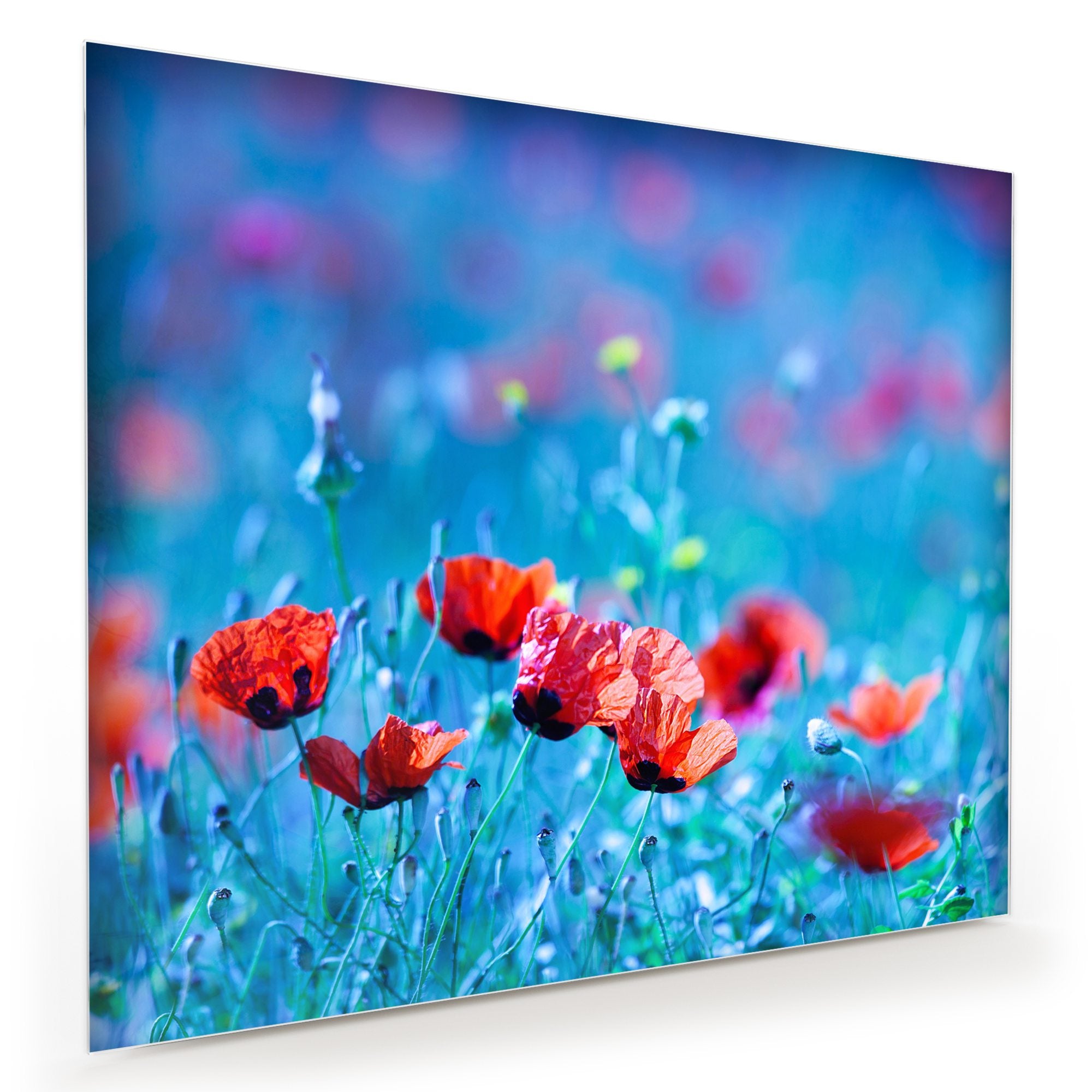 Wandbild - Blumenwiese