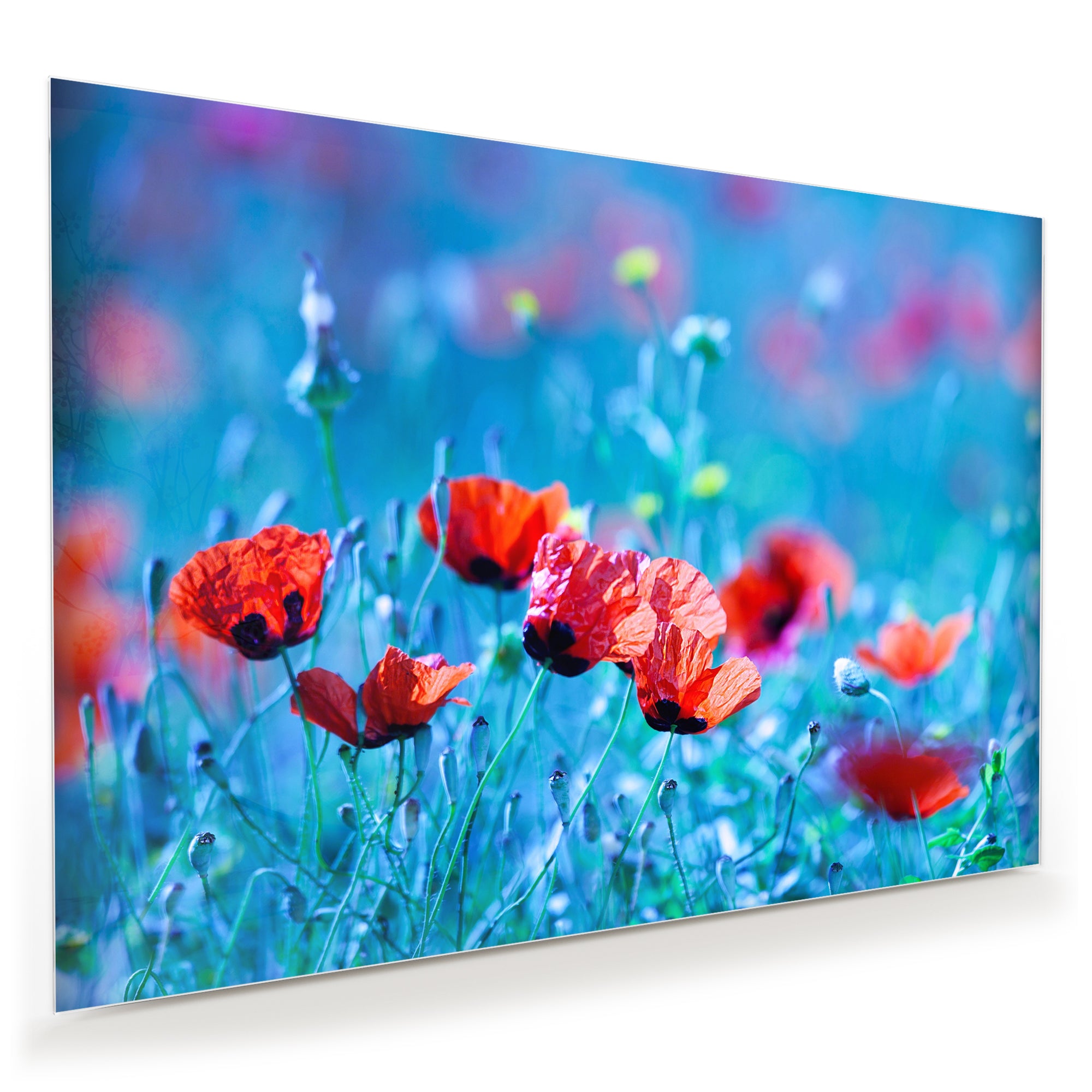 Wandbild - Blumenwiese