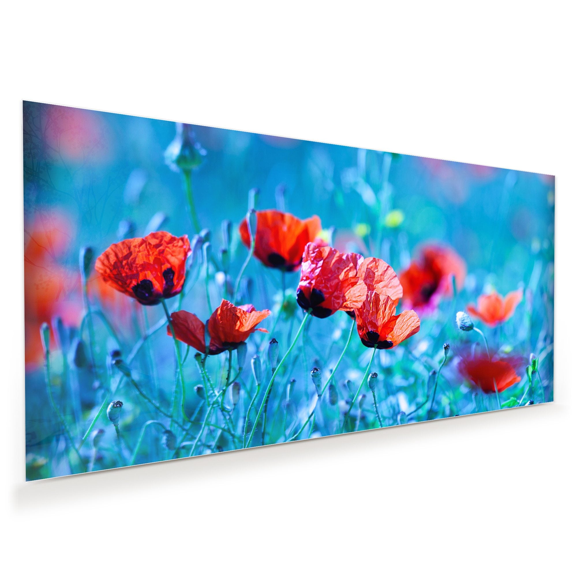 Wandbild - Blumenwiese