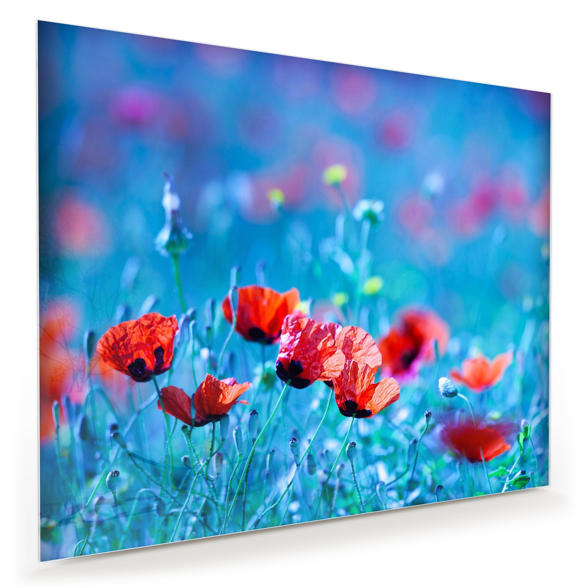 Wandbild - Blumenwiese