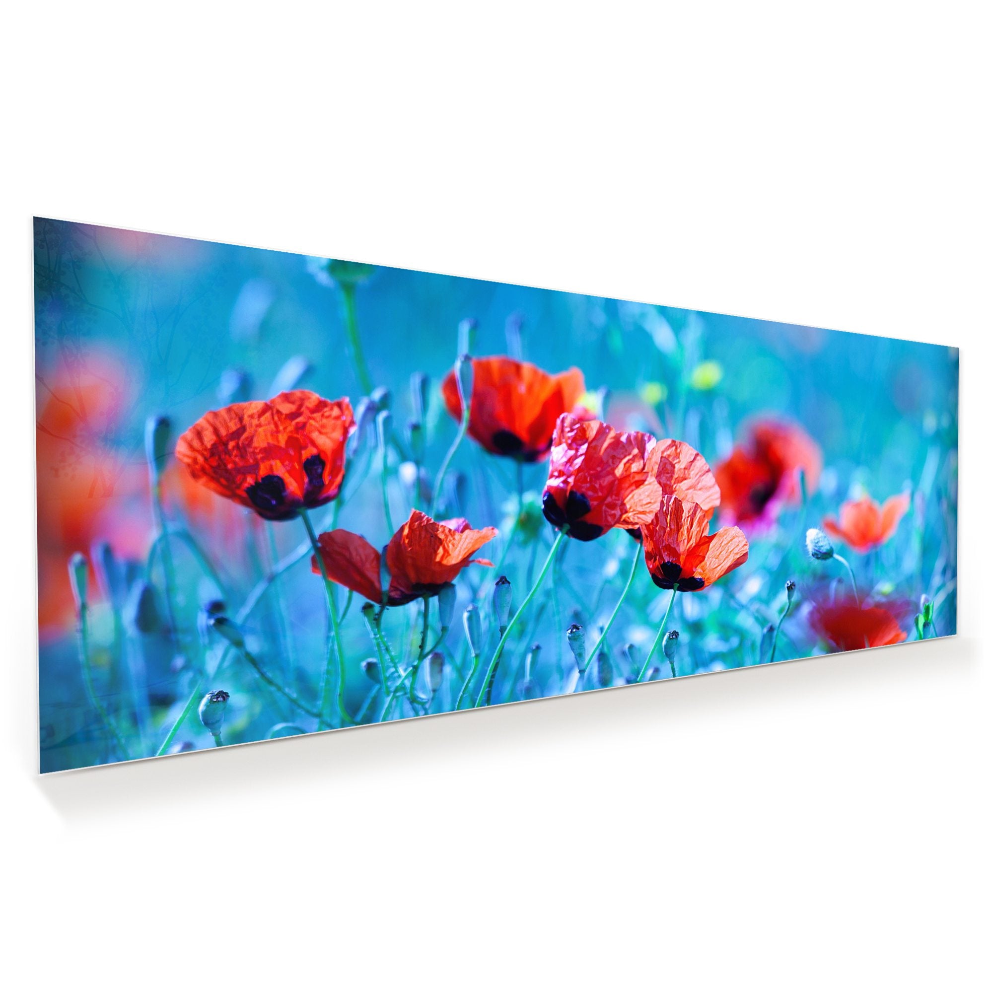 Wandbild - Blumenwiese