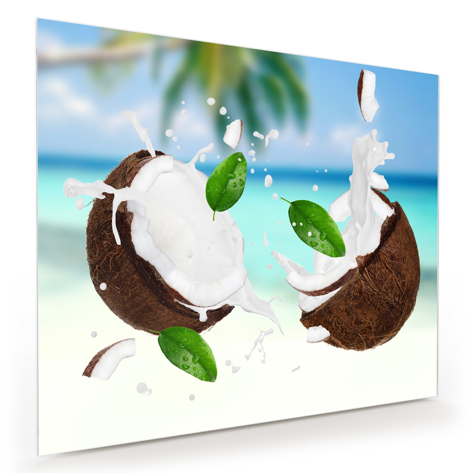 Wandbild - Kokosnuss im Paradies