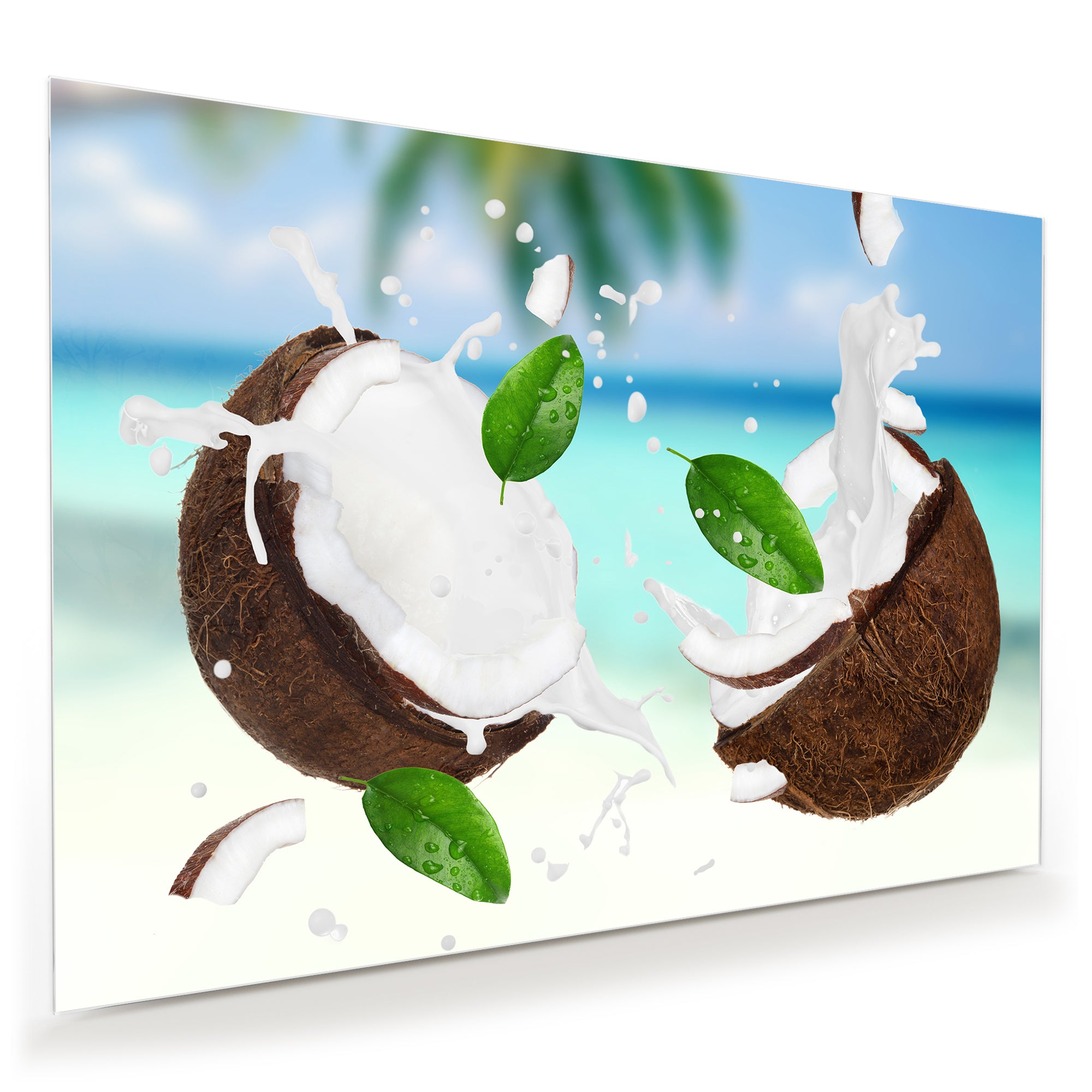 Wandbild - Kokosnuss im Paradies