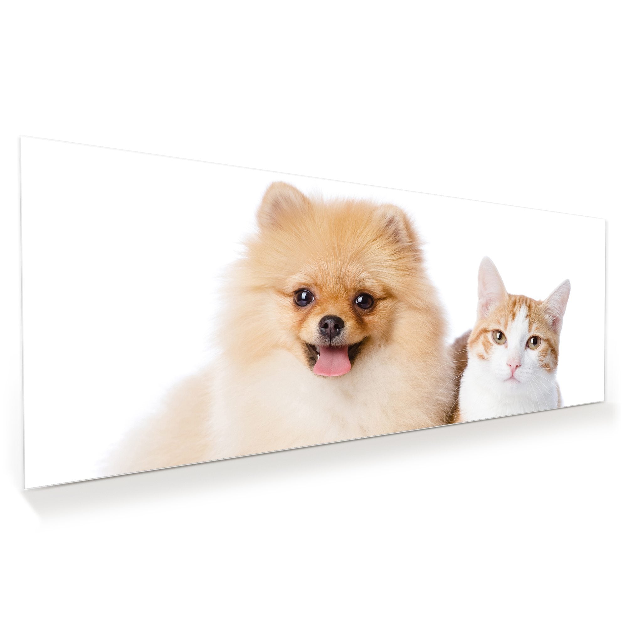 Wandbild - Katze und kleiner Hund