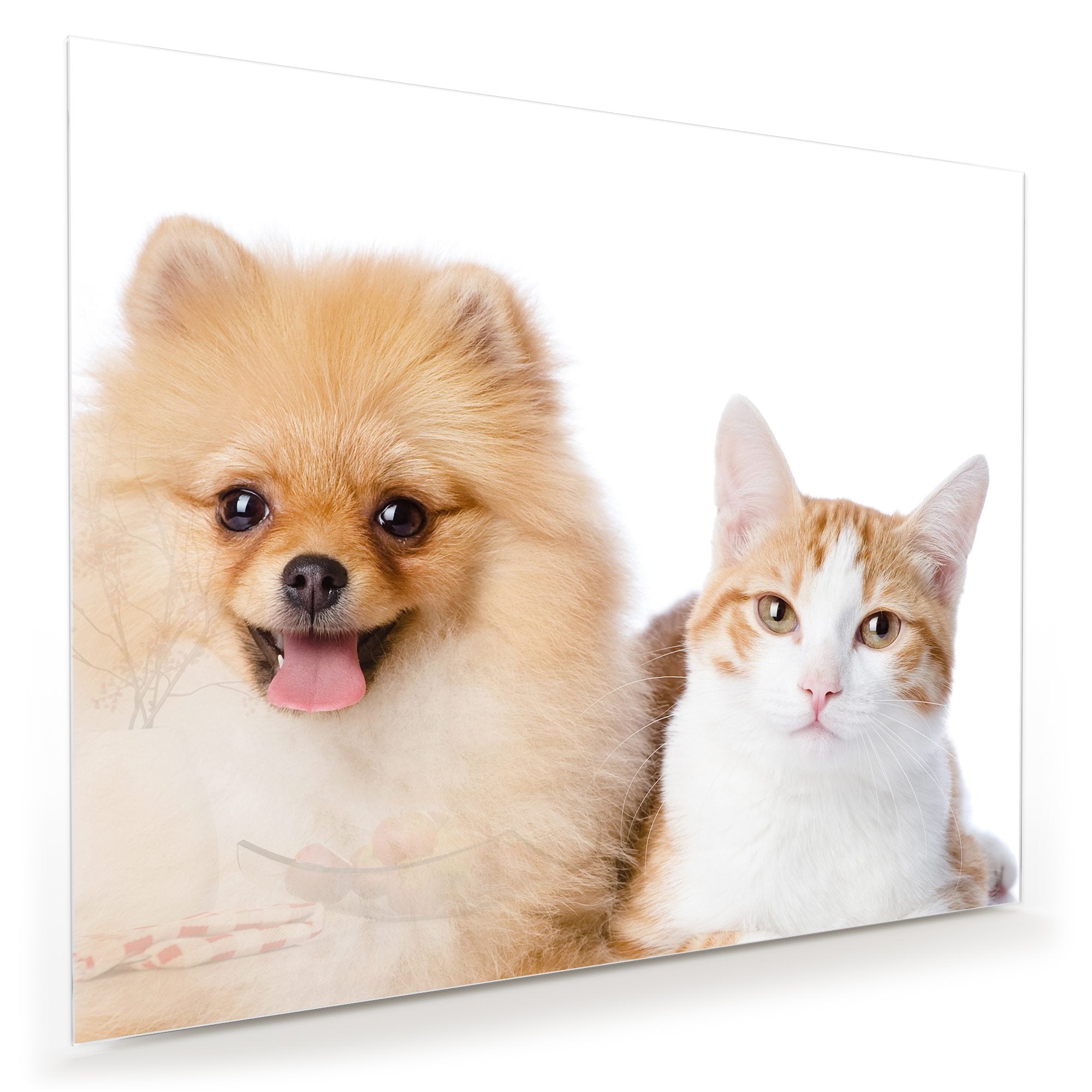 Wandbild - Katze und kleiner Hund