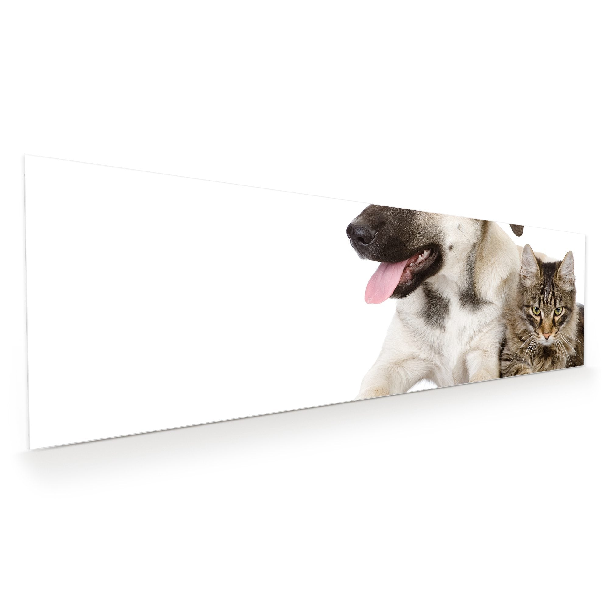 Wandbild - Hund und Katze liegend