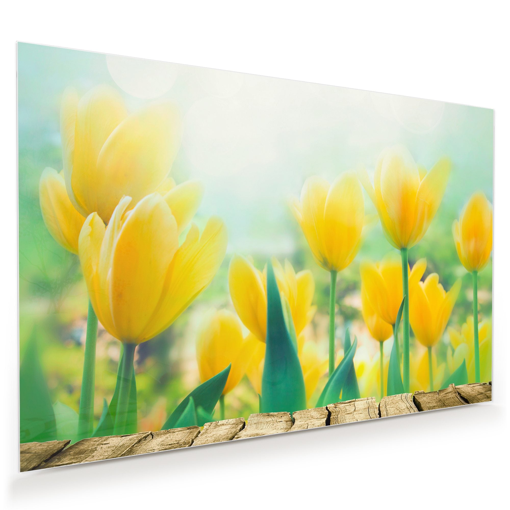 Wandbild - Blumen vor Veranda