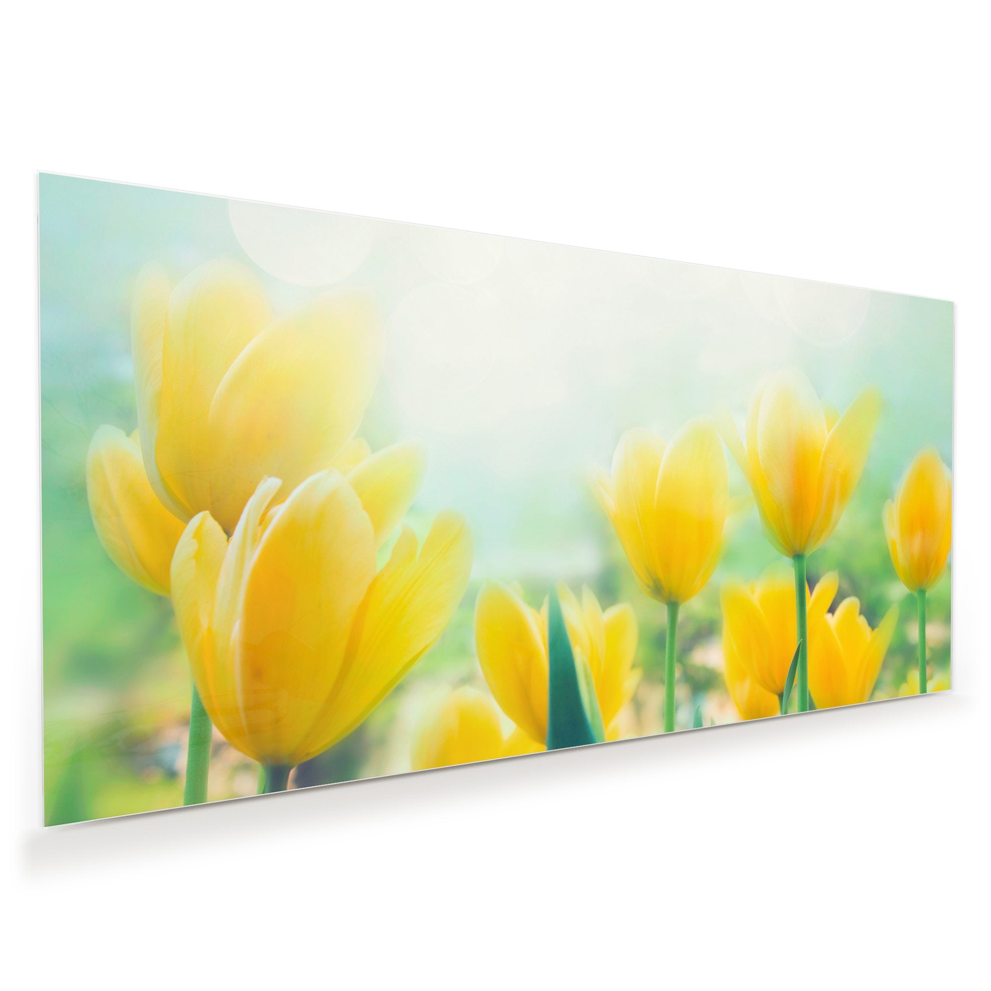 Wandbild - Blumen vor Veranda