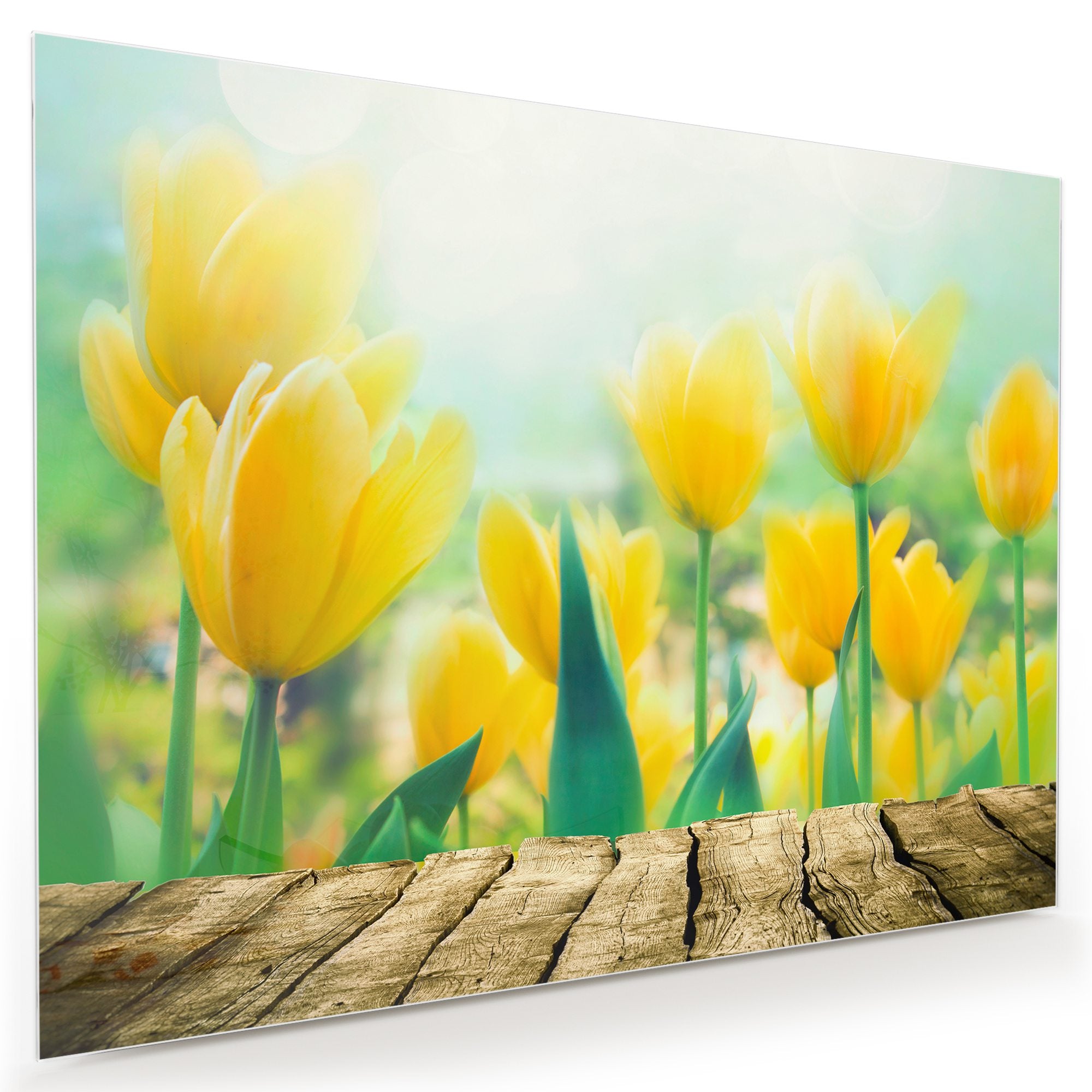 Wandbild - Blumen vor Veranda