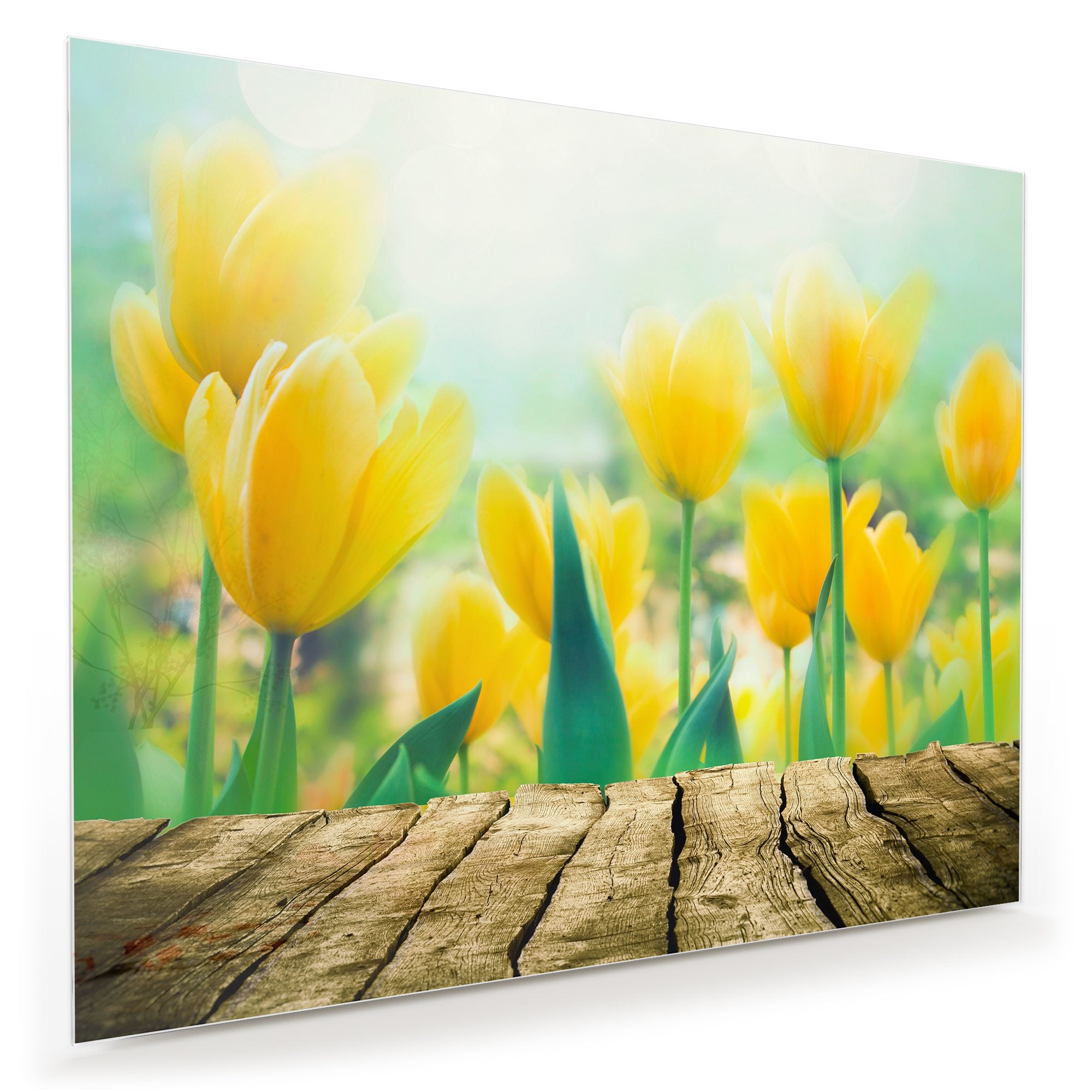 Wandbild - Blumen vor Veranda