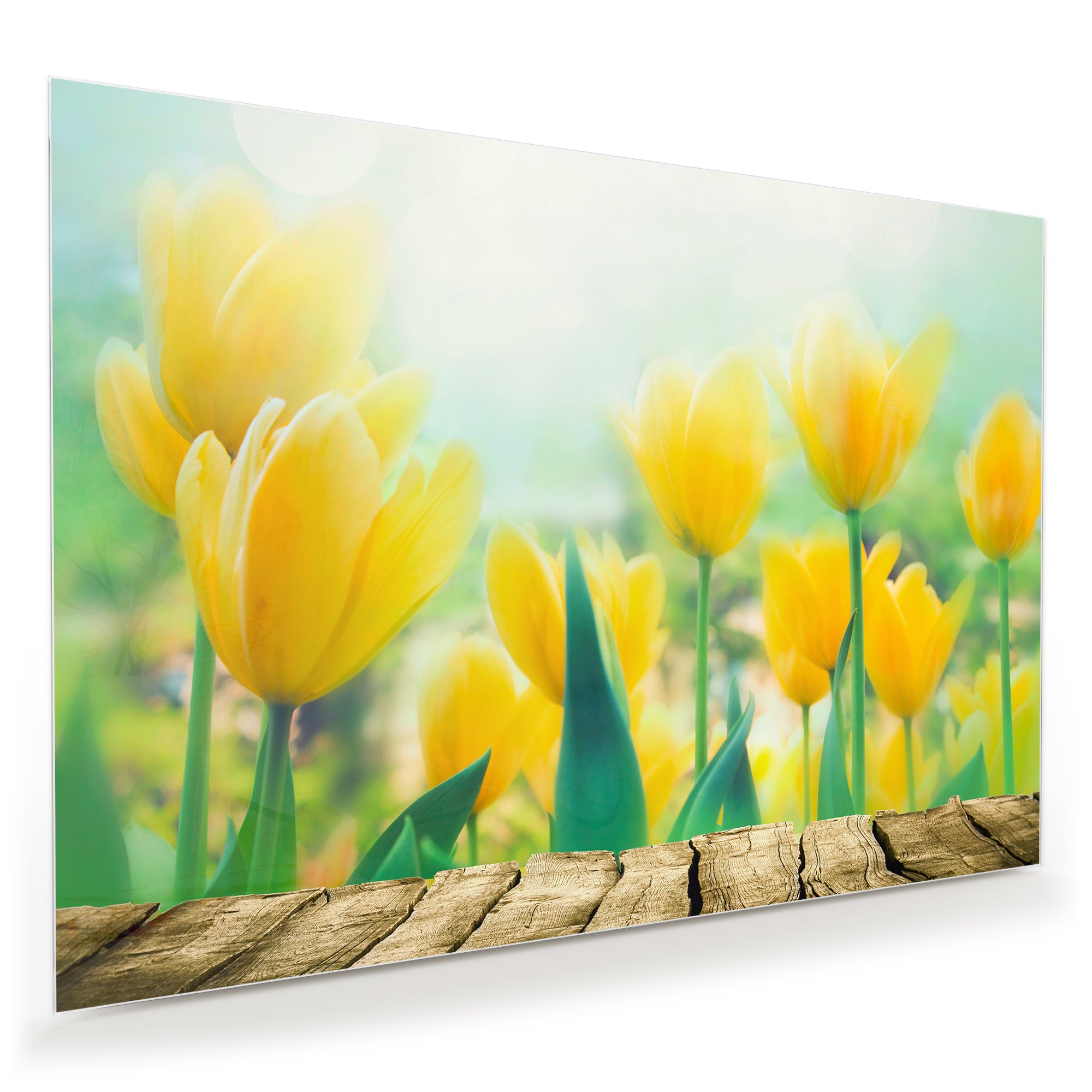 Wandbild - Blumen vor Veranda