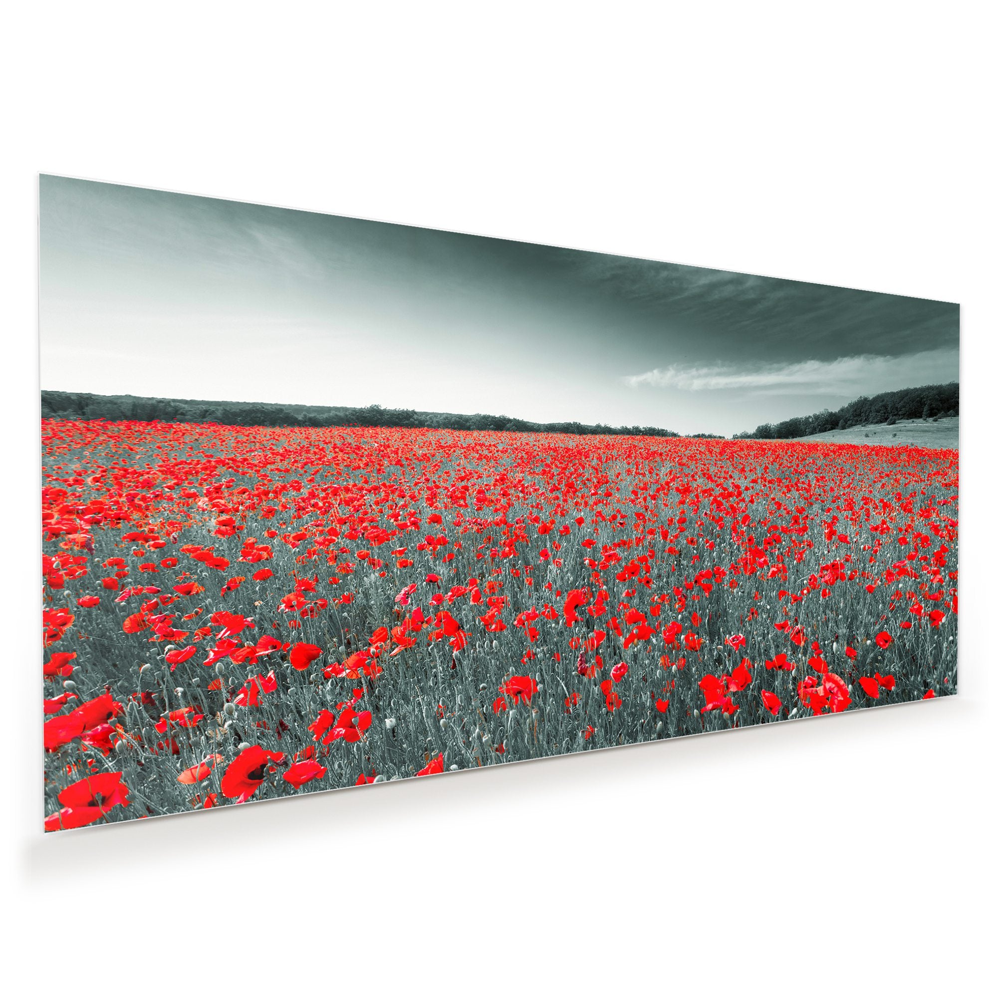 Wandbild - Wiese mit Rotem Mohn