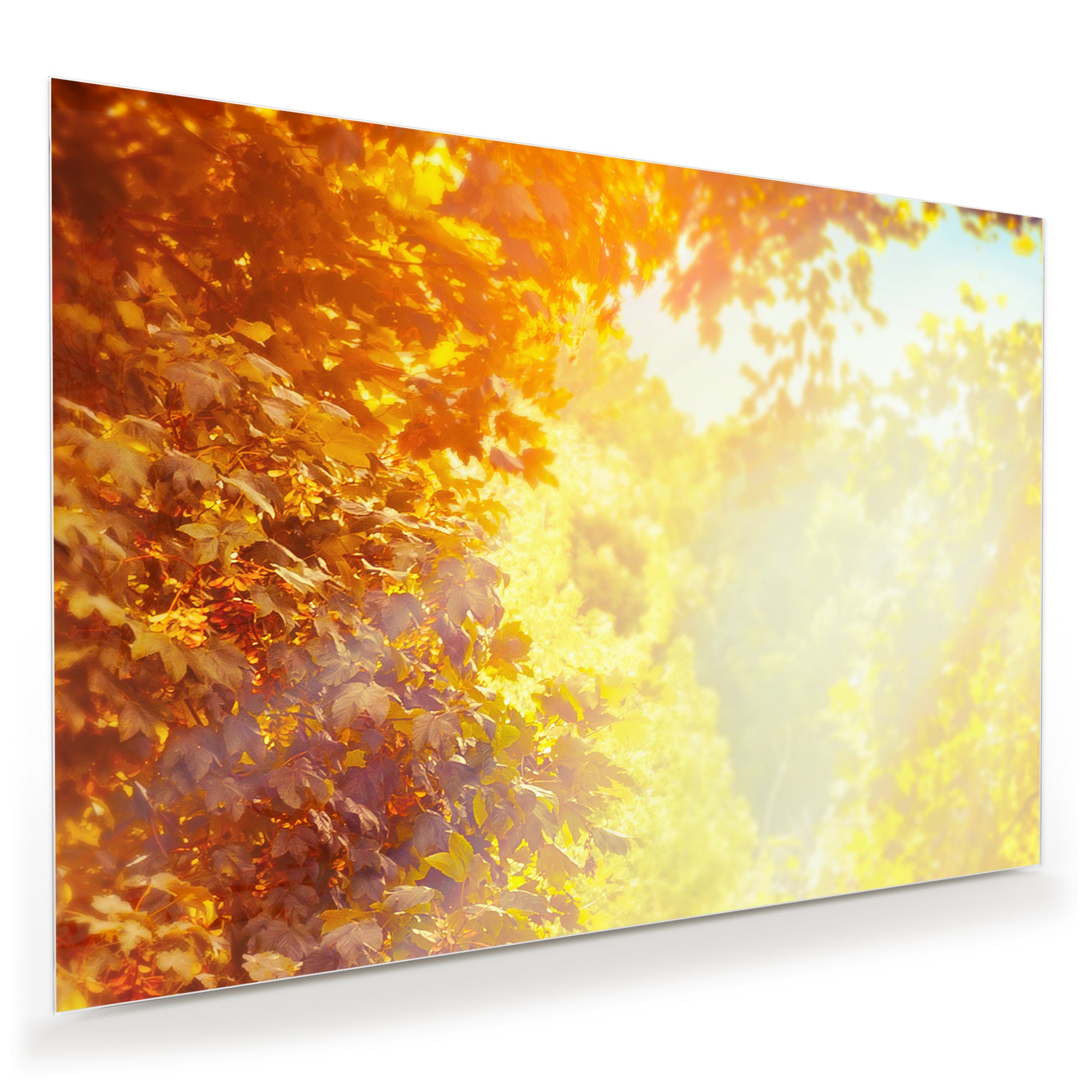 Wandbild - Sonne im Herbst