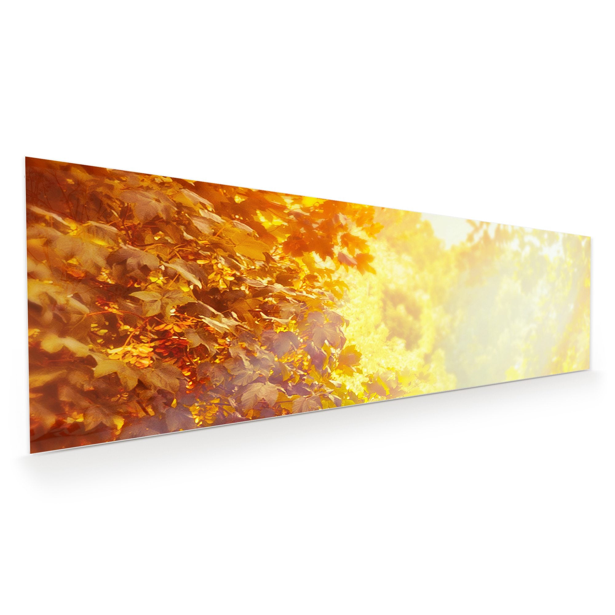 Wandbild - Sonne im Herbst