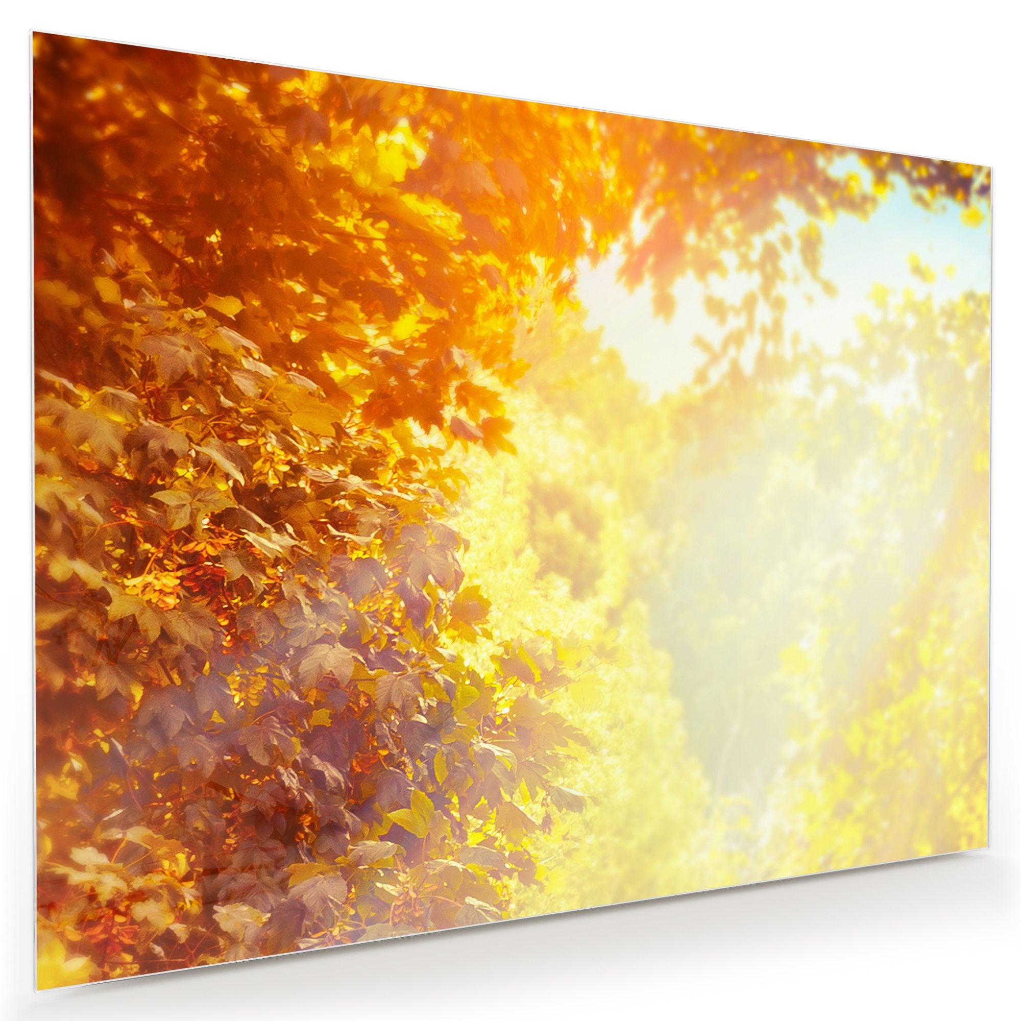 Wandbild - Sonne im Herbst