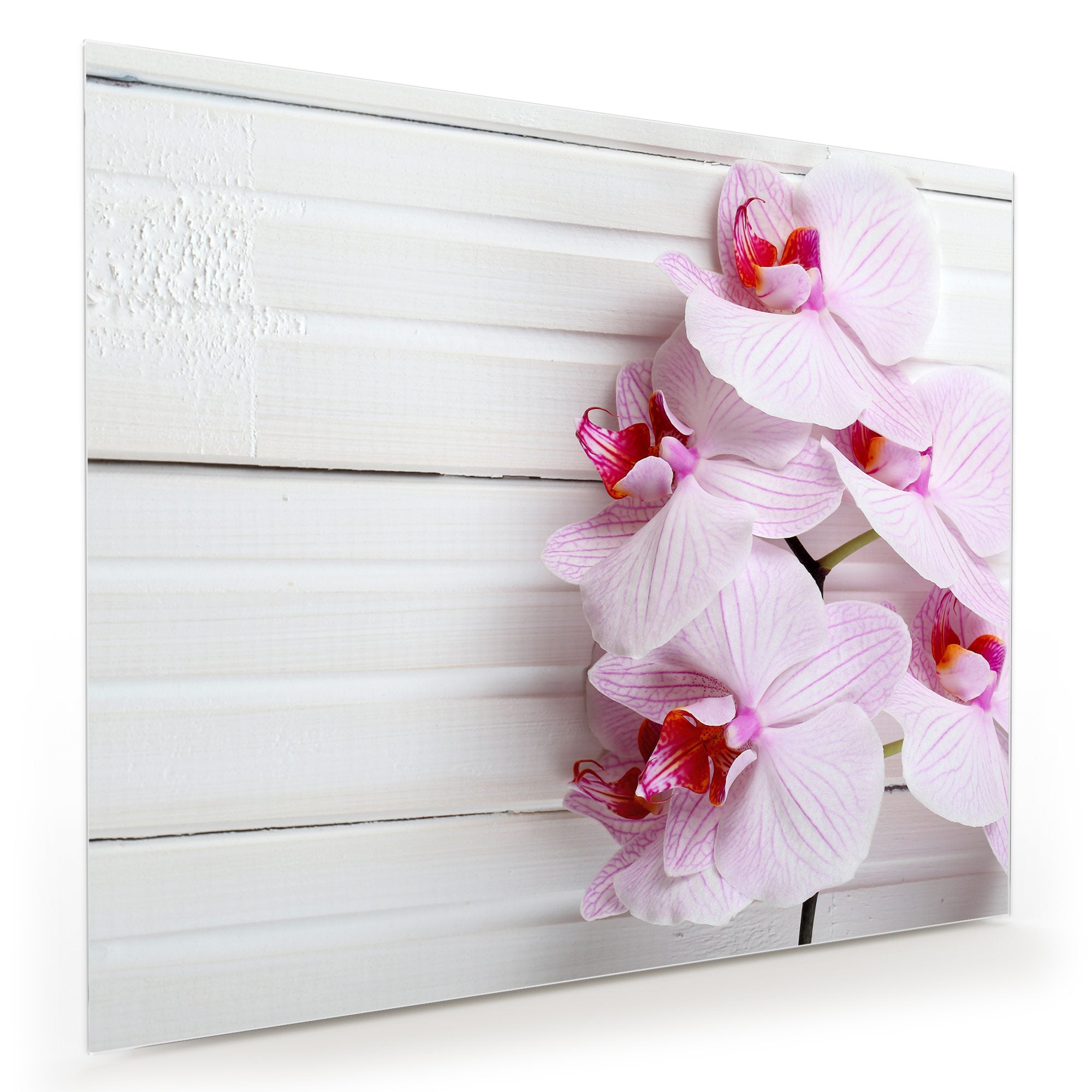 Wandbild - Orchidee auf Holzplatte