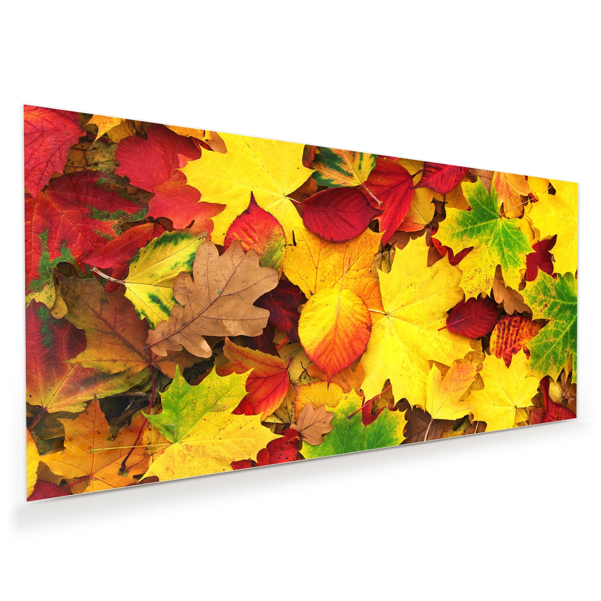 Wandbild - Herbstblätter