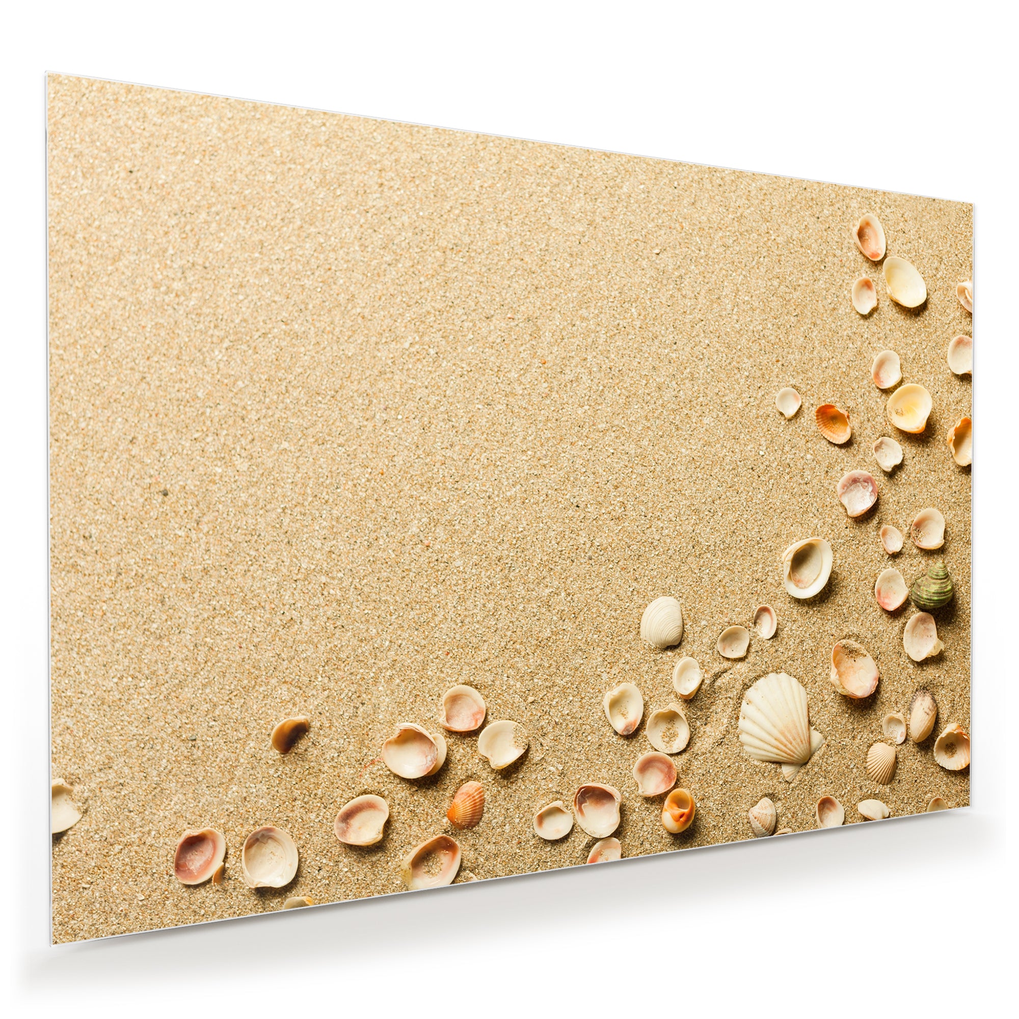 Wandbild - Muscheln im Sand