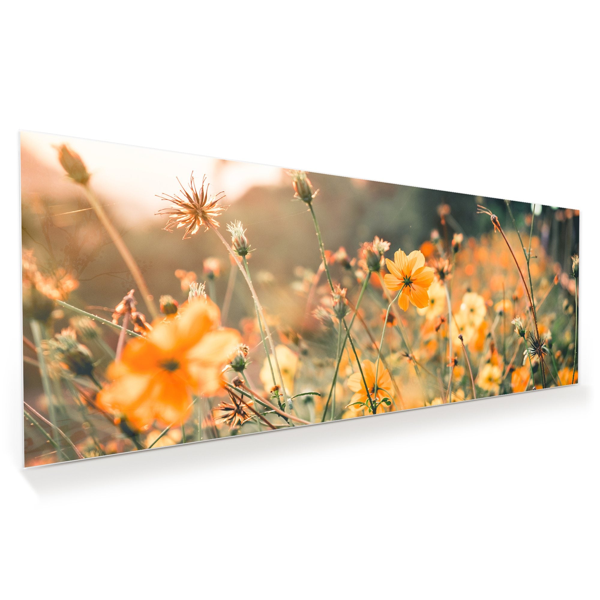 Wandbild - Gelbe Blumennatur