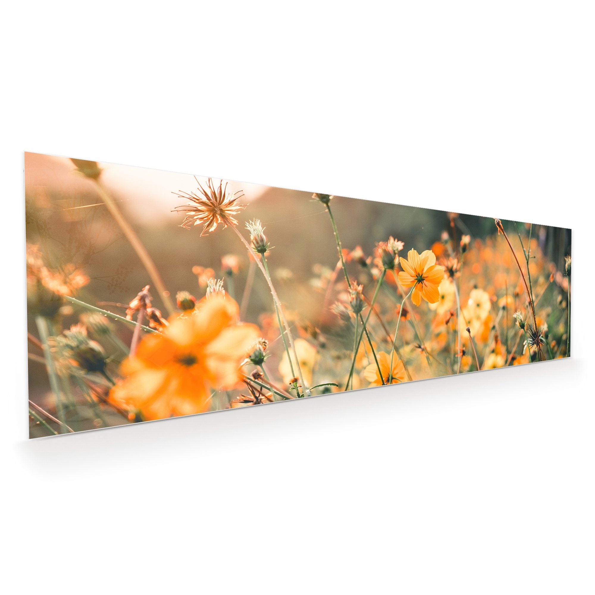 Wandbild - Gelbe Blumennatur