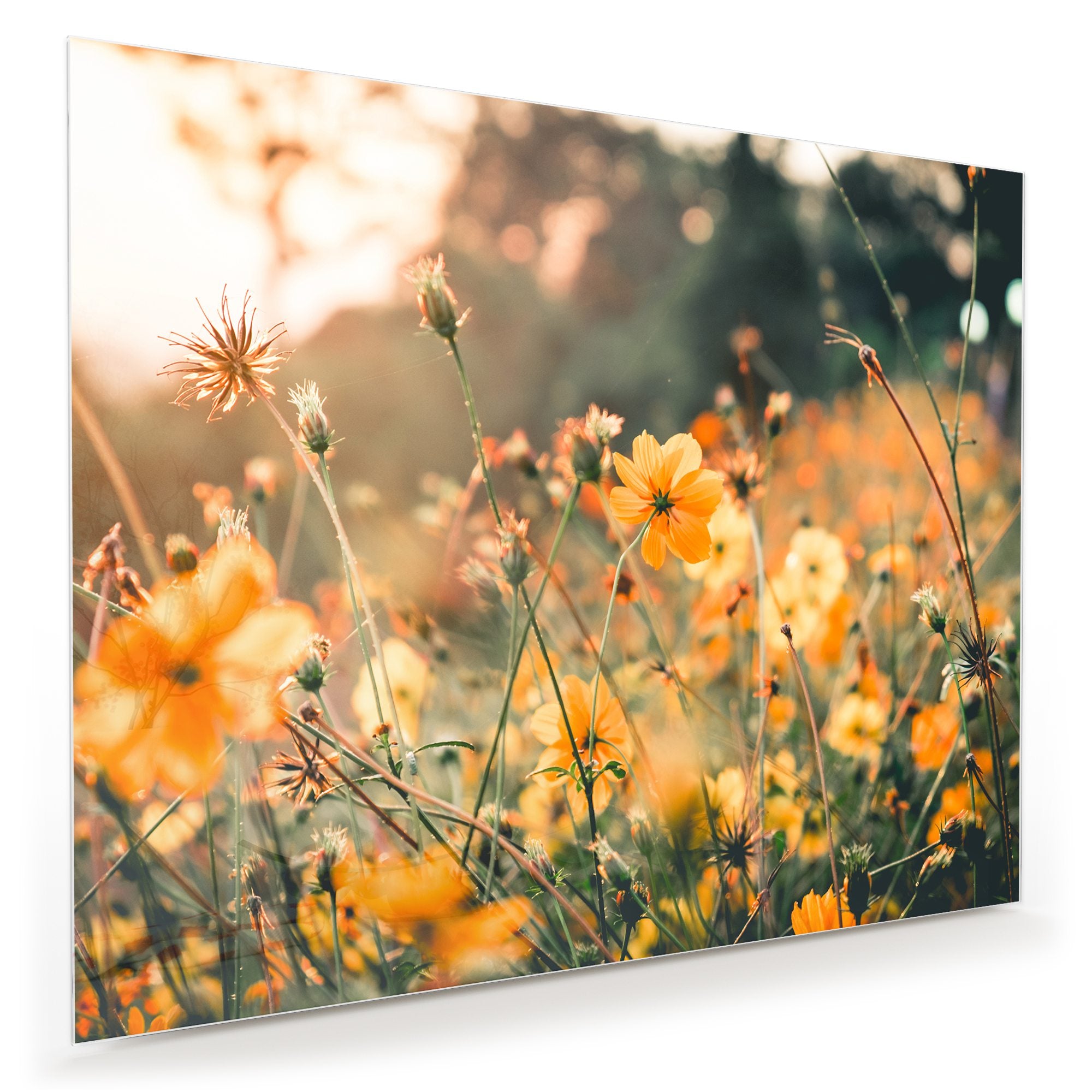 Wandbild - Gelbe Blumennatur