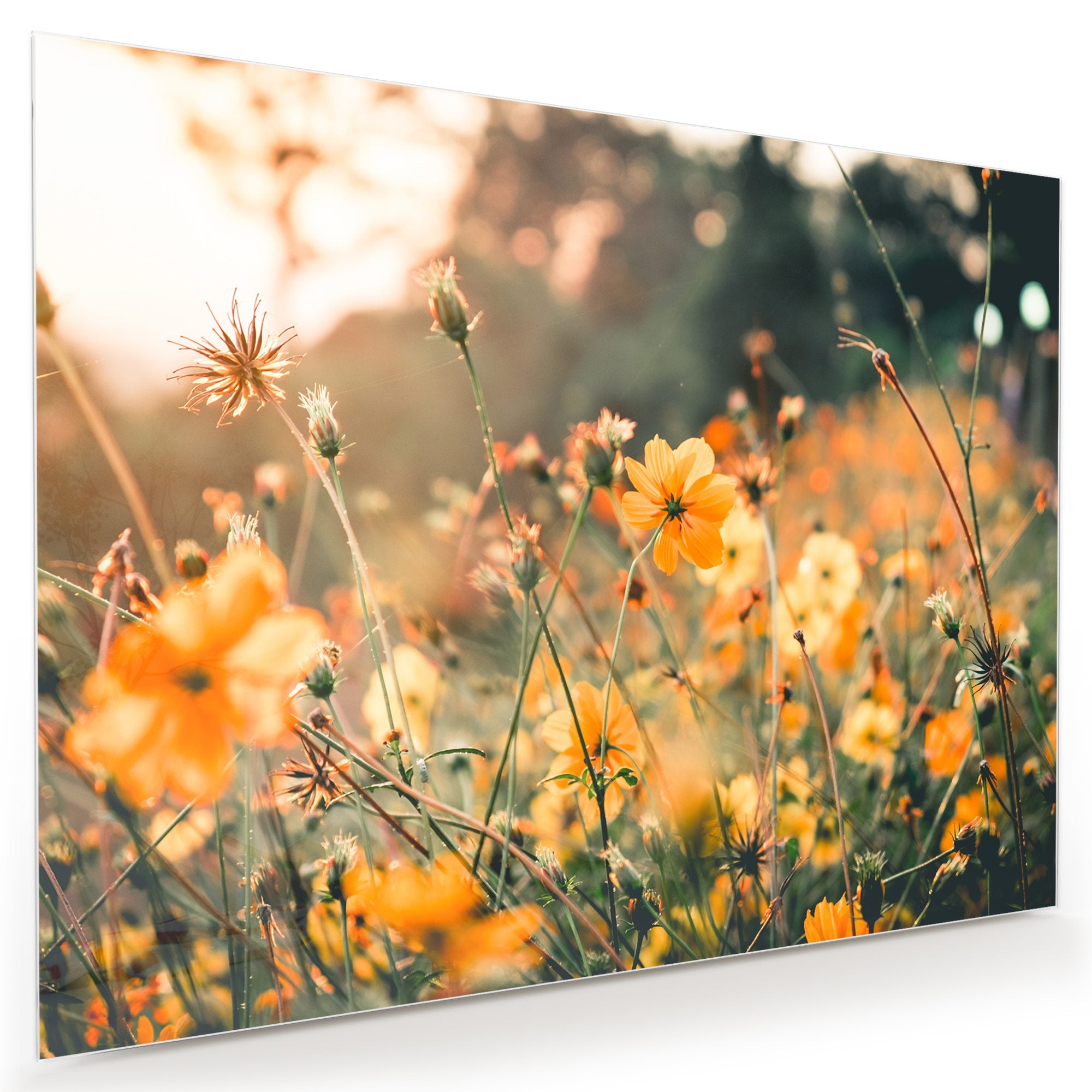 Wandbild - Gelbe Blumennatur