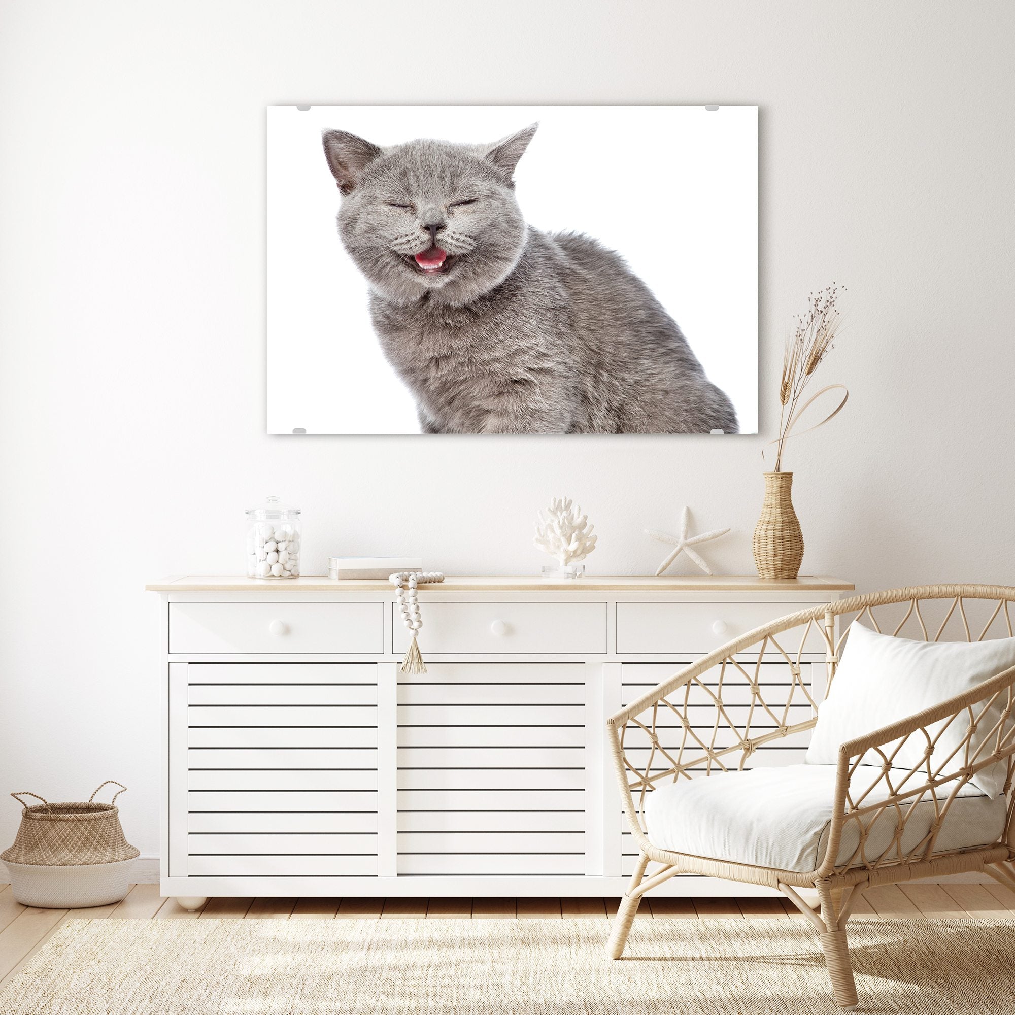 Wandbild - Glückliche Katze