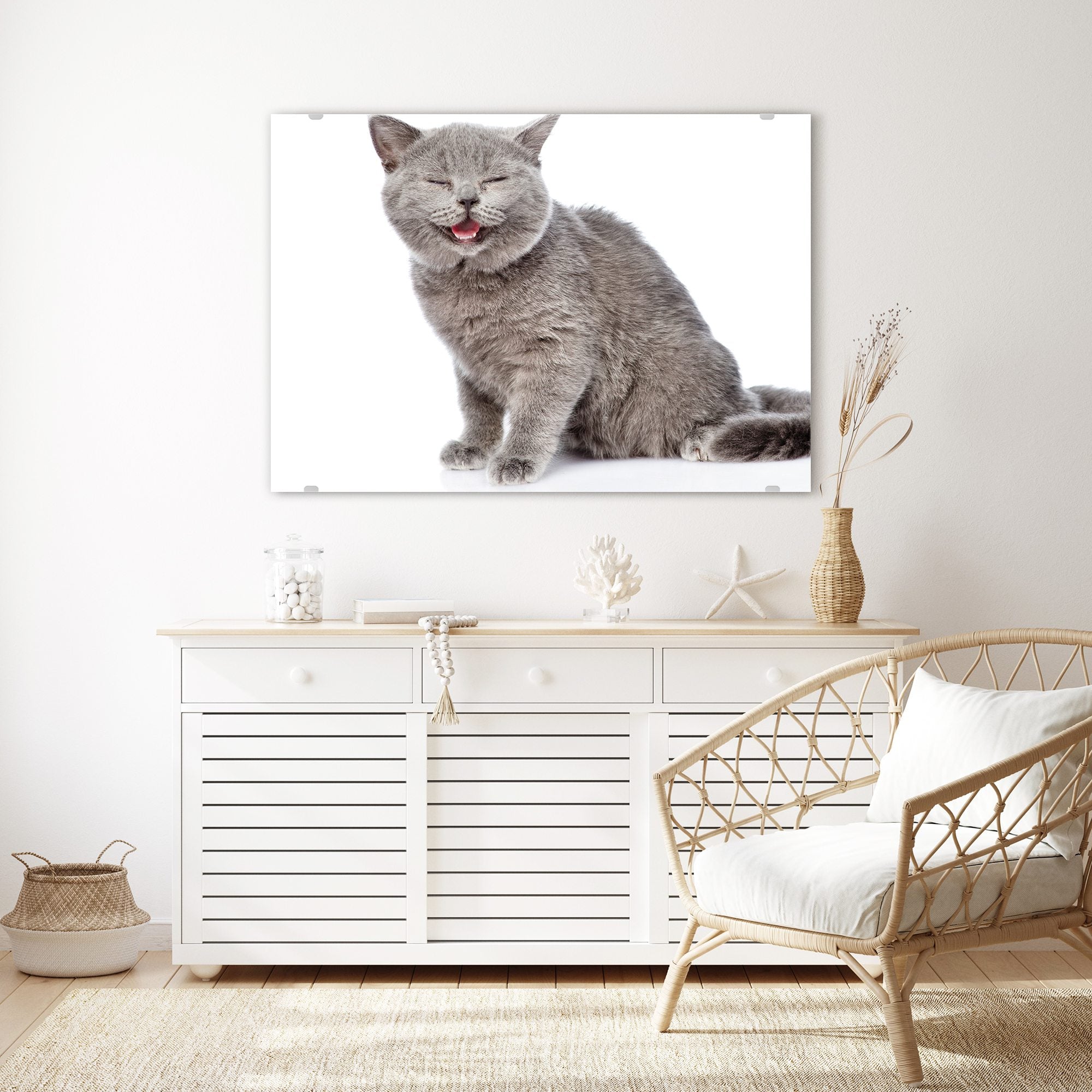 Wandbild - Glückliche Katze