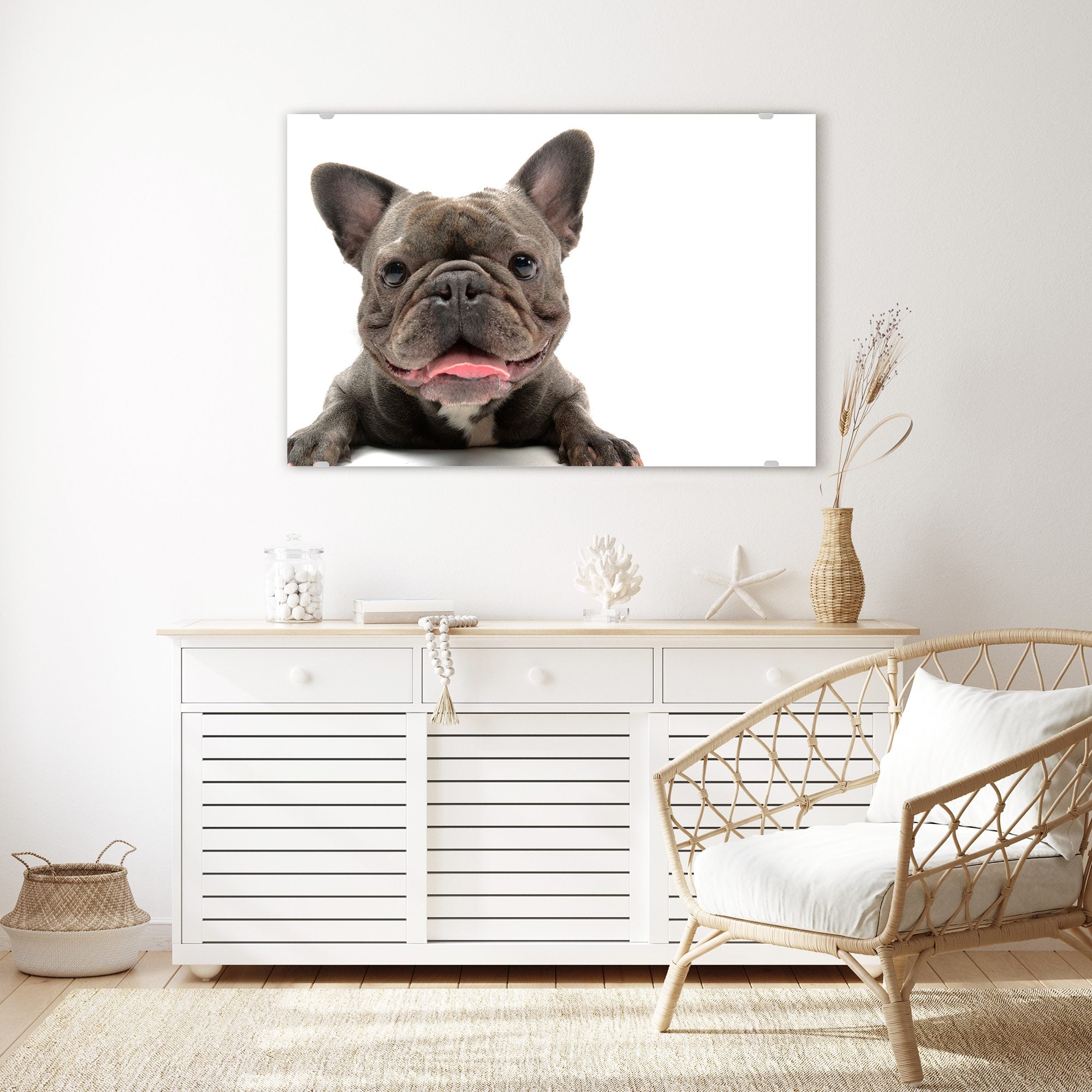 Wandbild - Französische Bulldogge