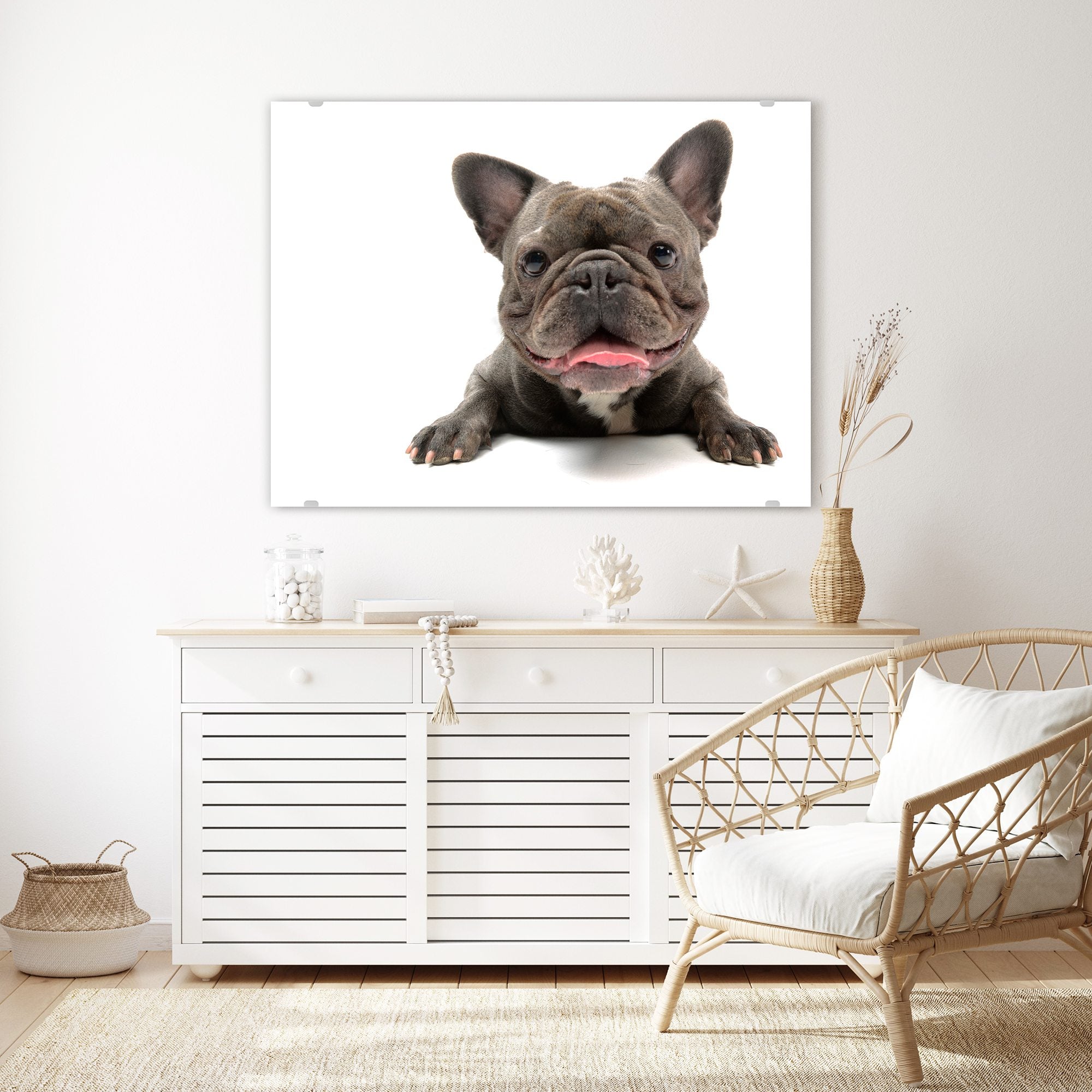Wandbild - Französische Bulldogge