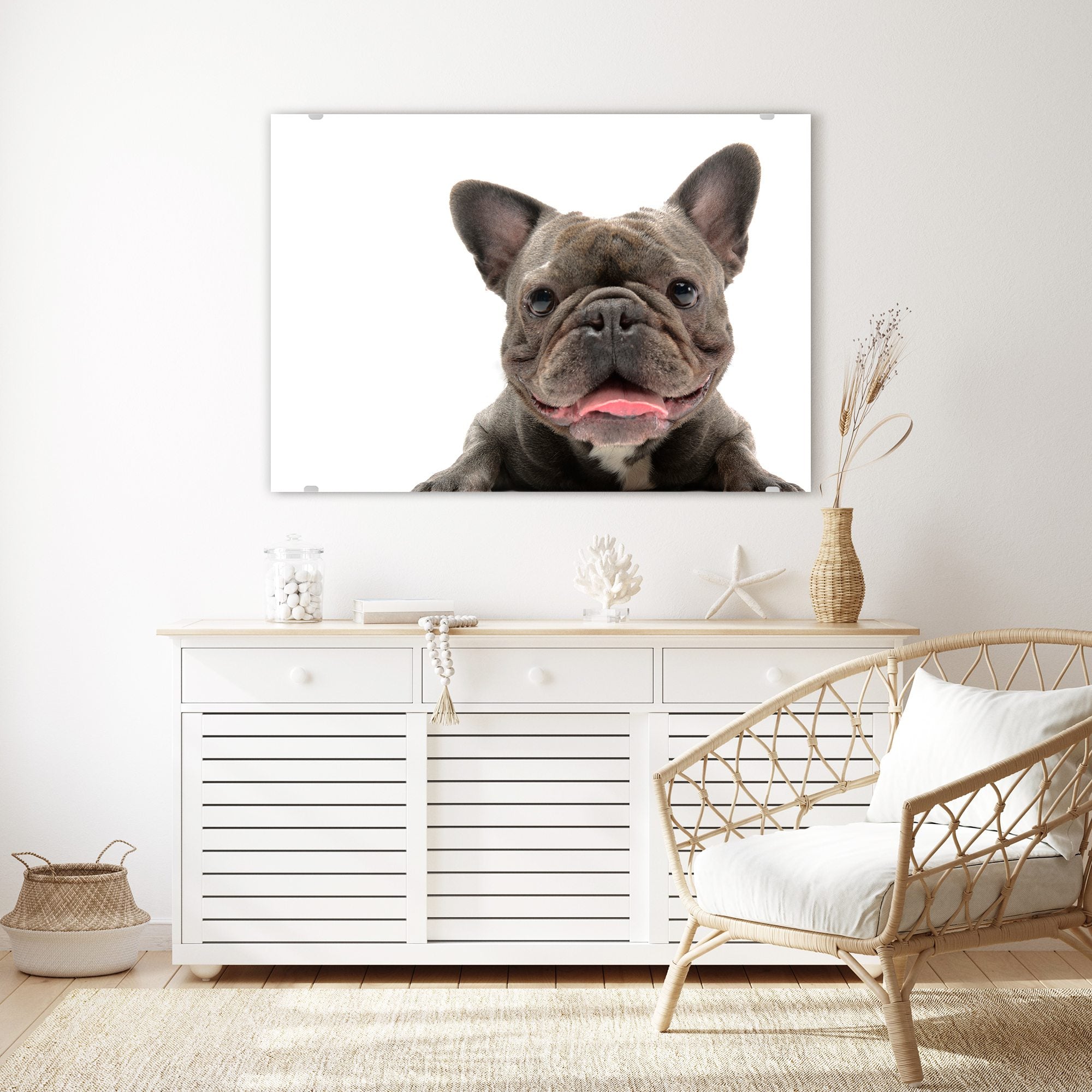 Wandbild - Französische Bulldogge