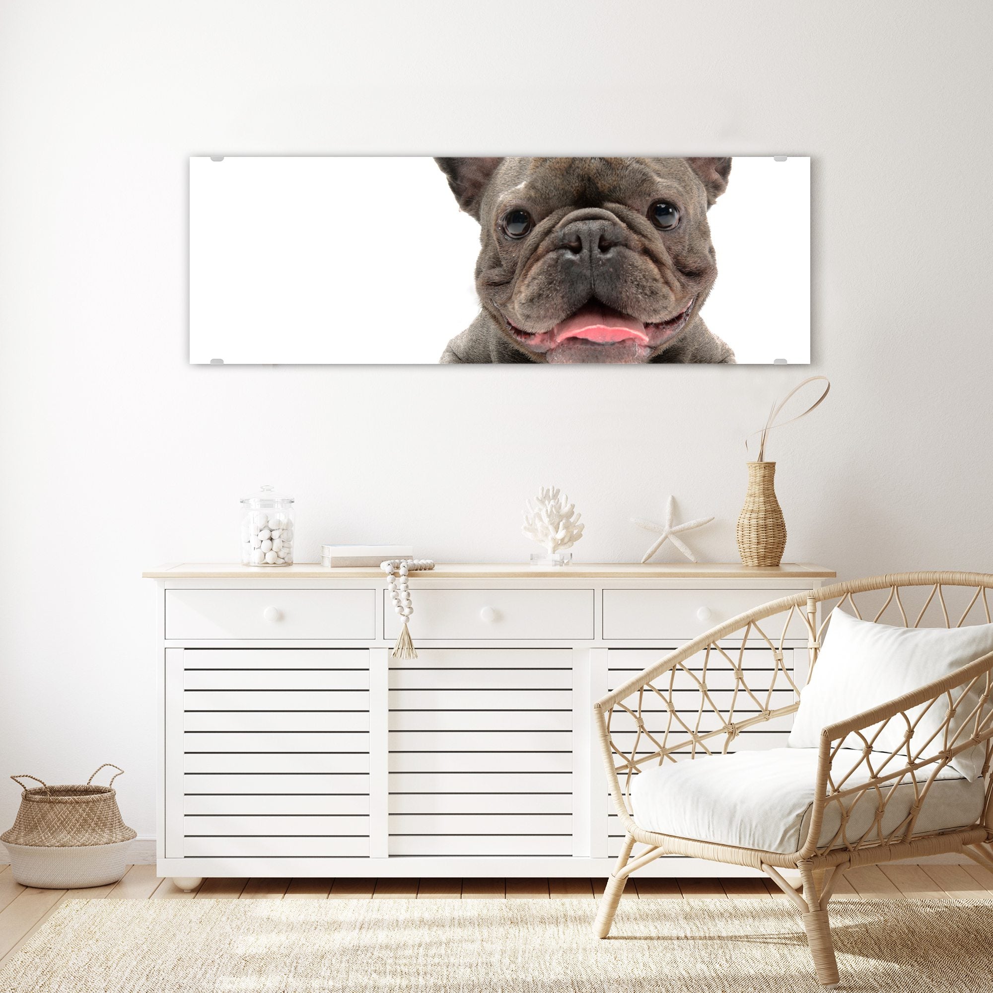 Wandbild - Französische Bulldogge