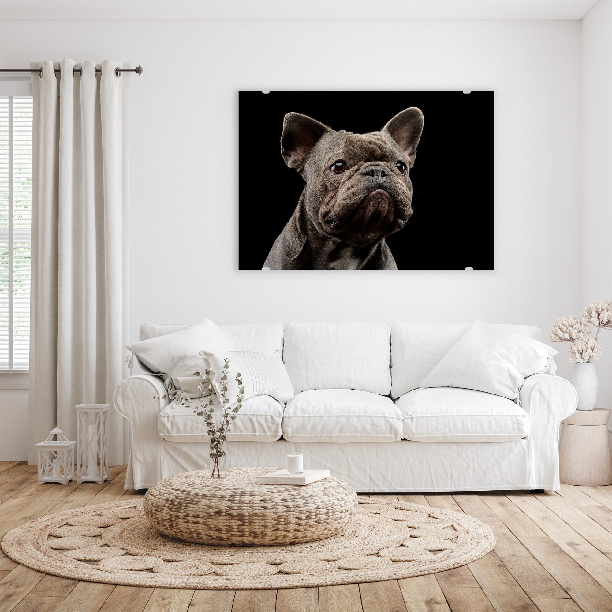 Wandbild - Portrait Bulldogge