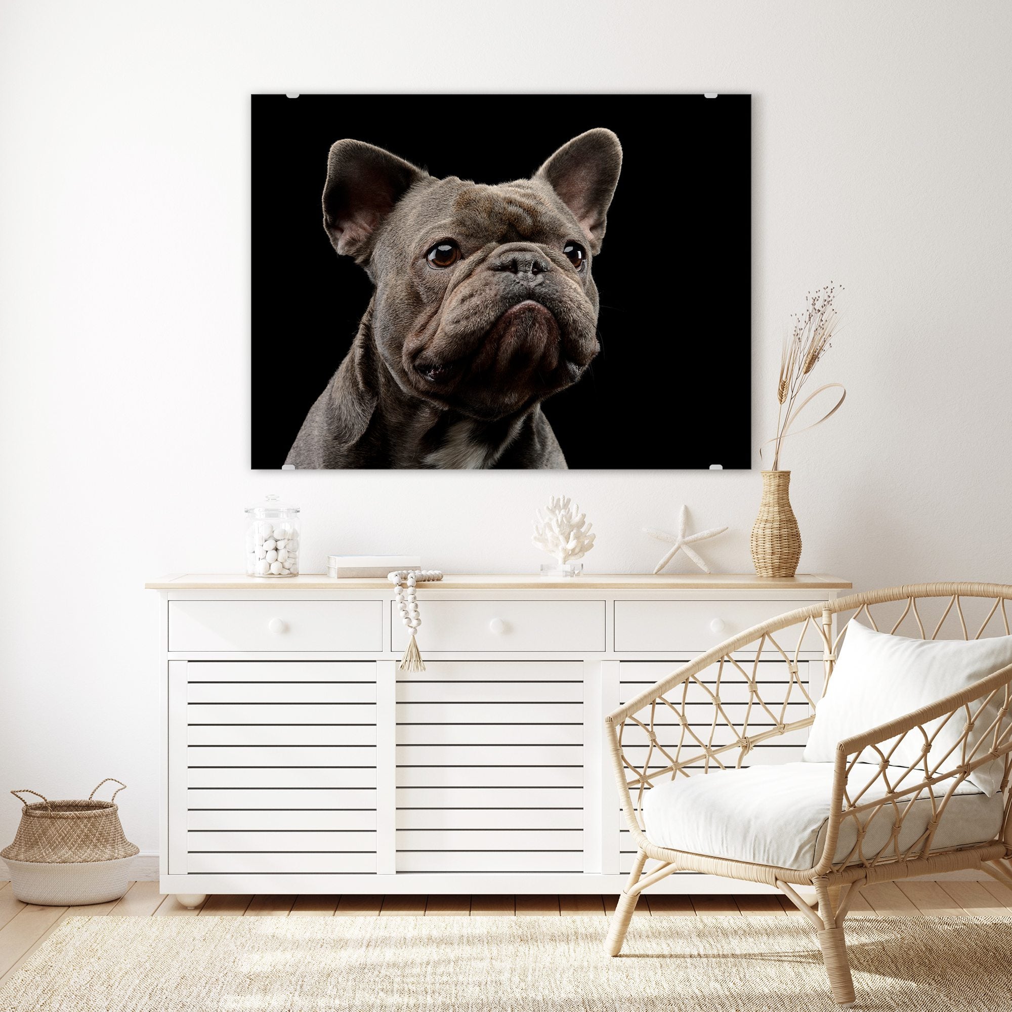 Wandbild - Portrait Bulldogge