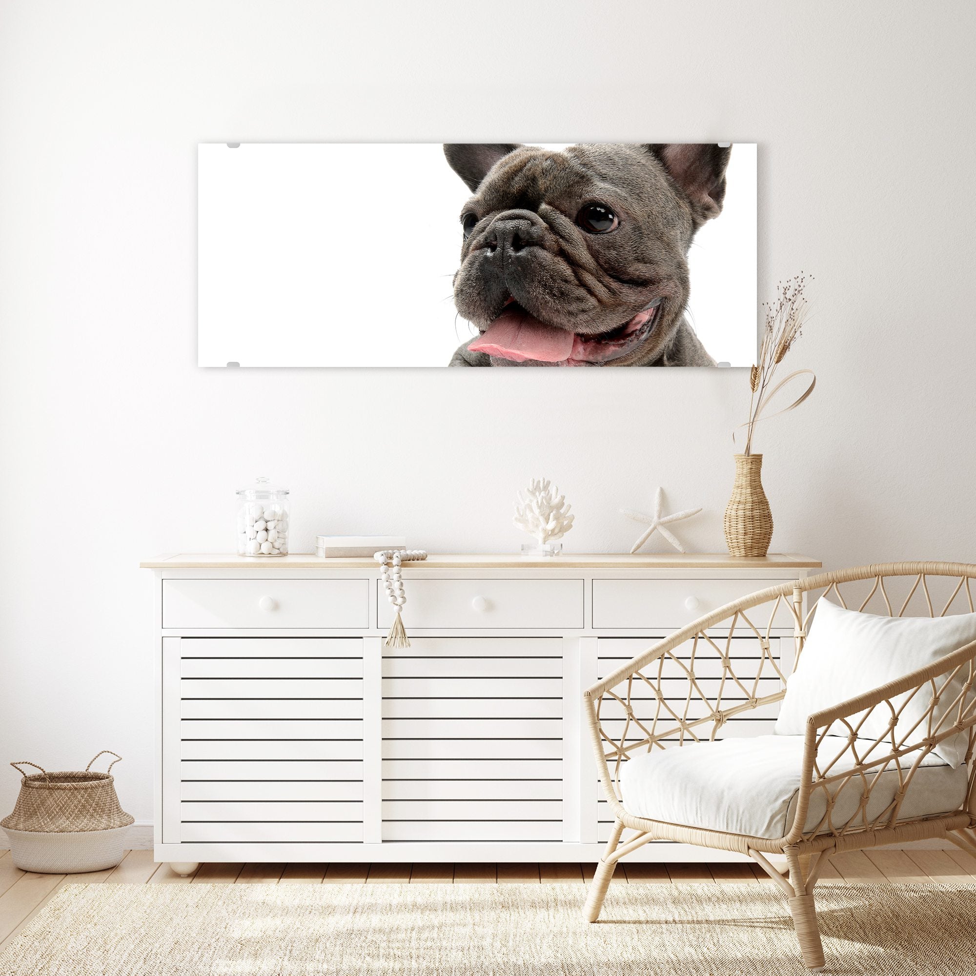 Wandbild - Bulldogge französisch