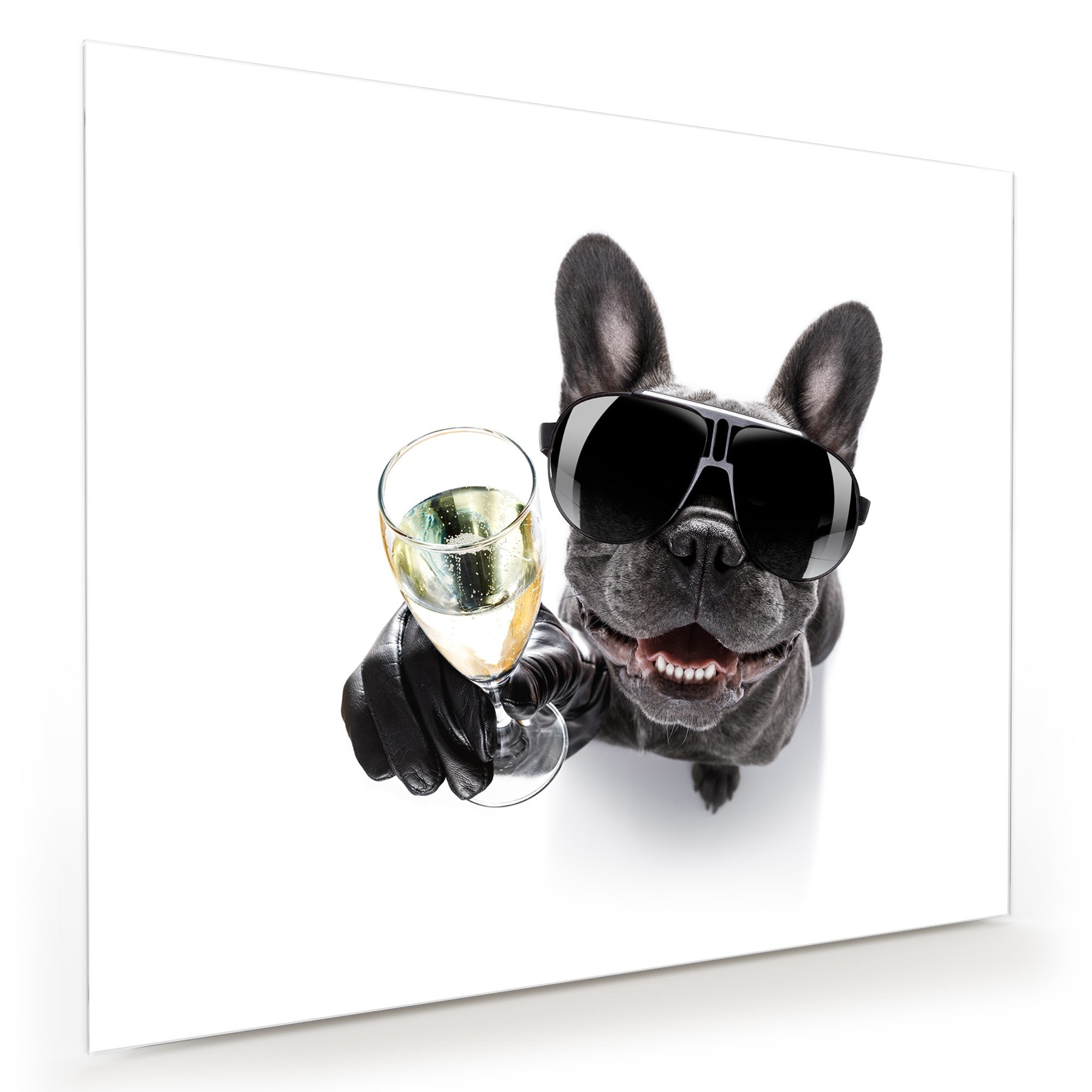 Wandbild - Bulldogge mit Prosecco Glas