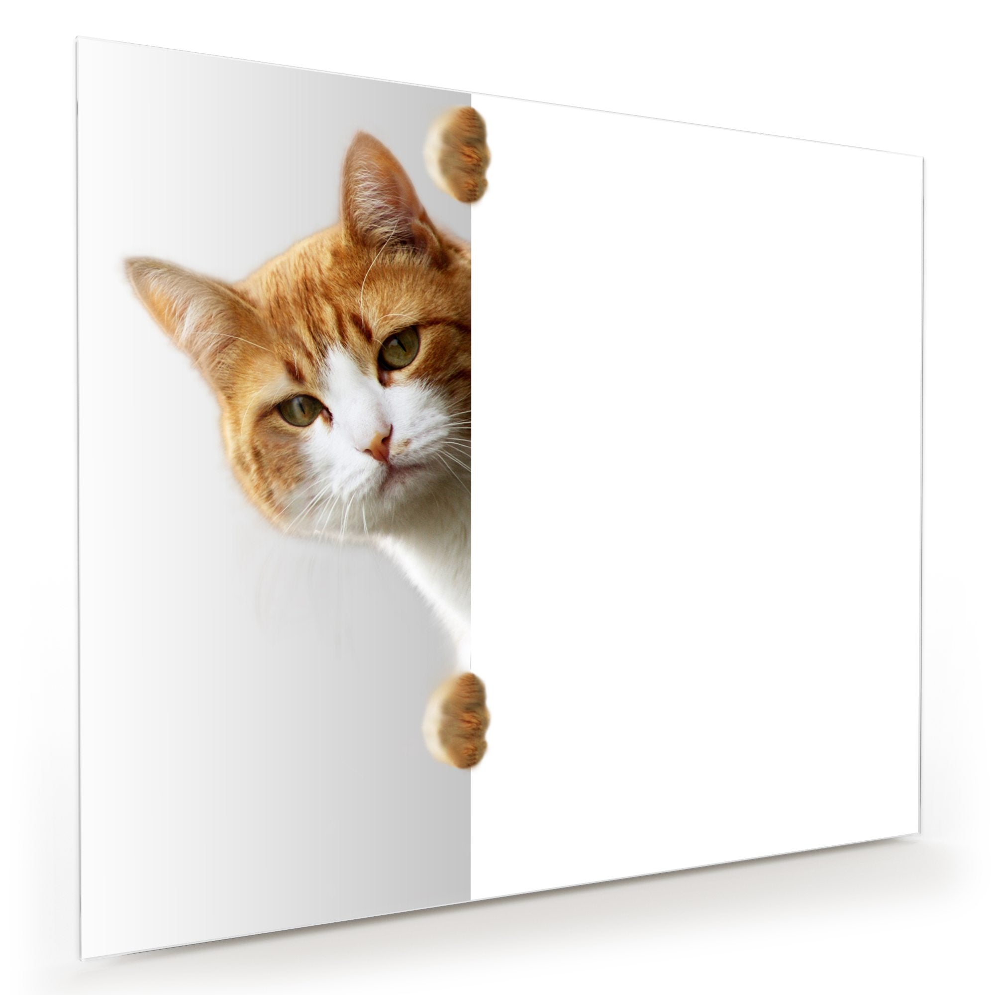 Wandbild - Katze hinter Tür