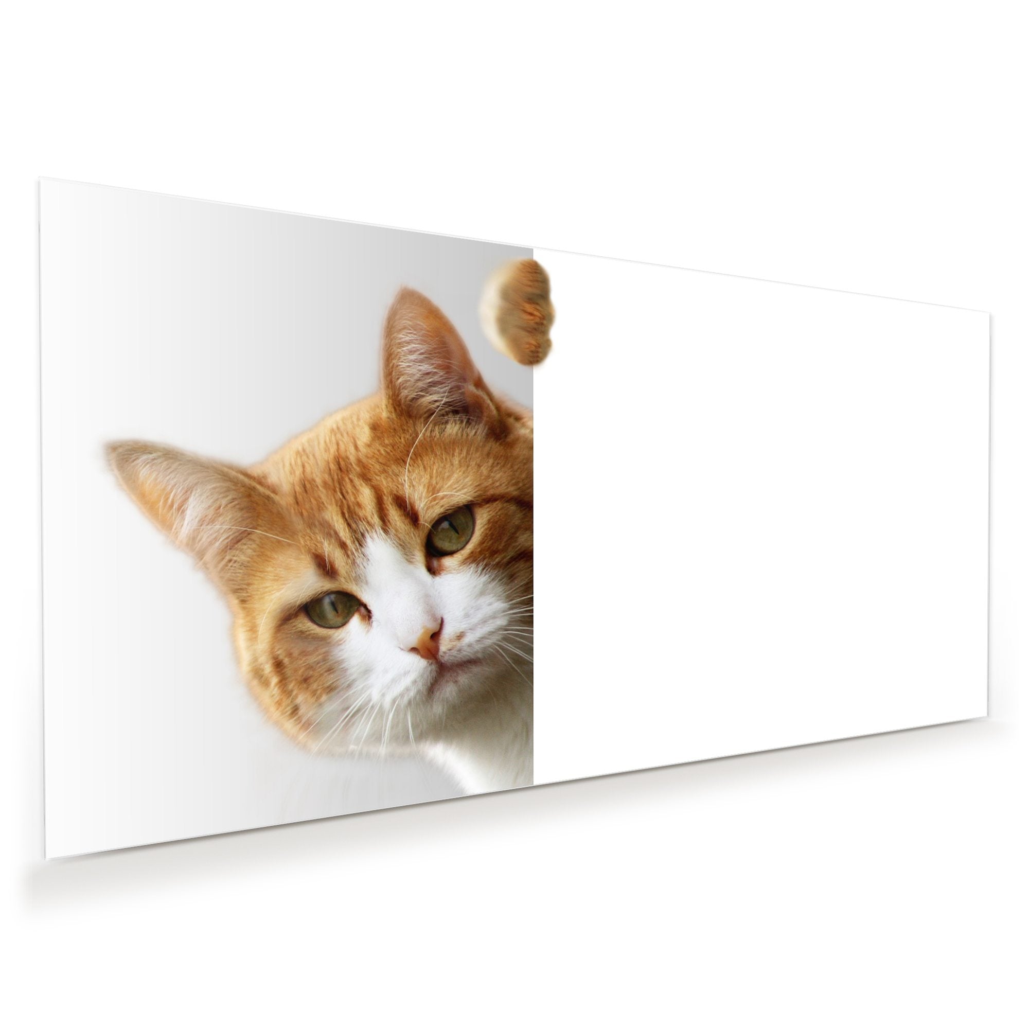 Wandbild - Katze hinter Tür