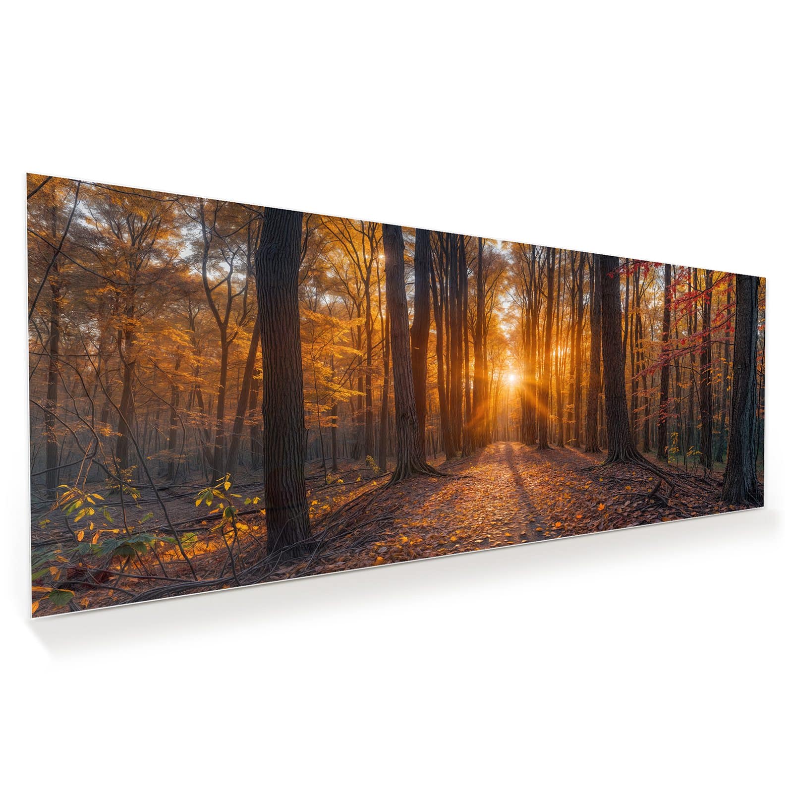 #grösse_100 x 40 cm #grösse_125 x 50 cm #grösse_150 x 60 cm